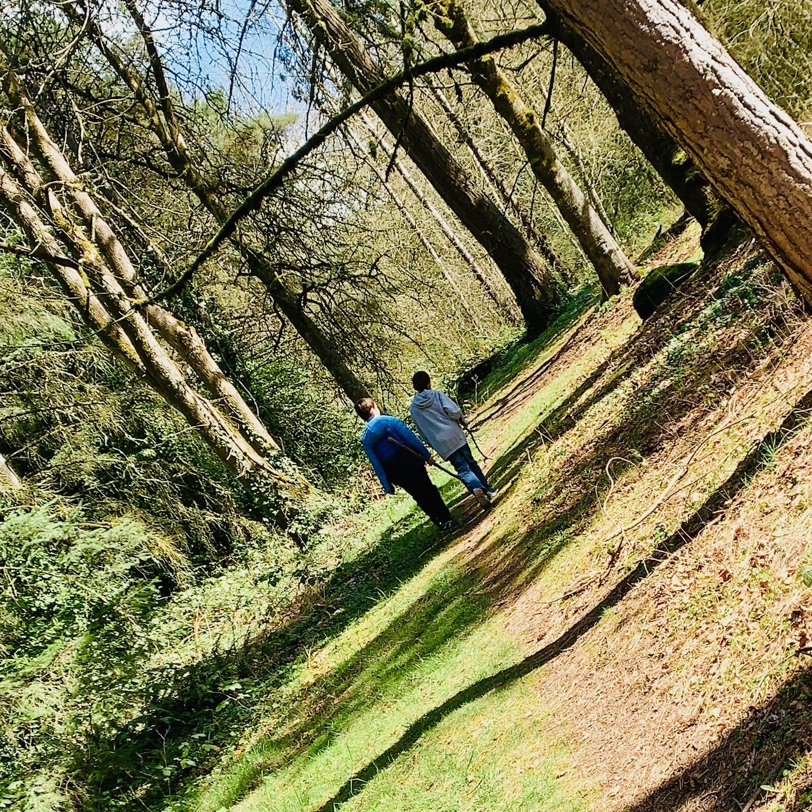 How to get a Pandemic Pal