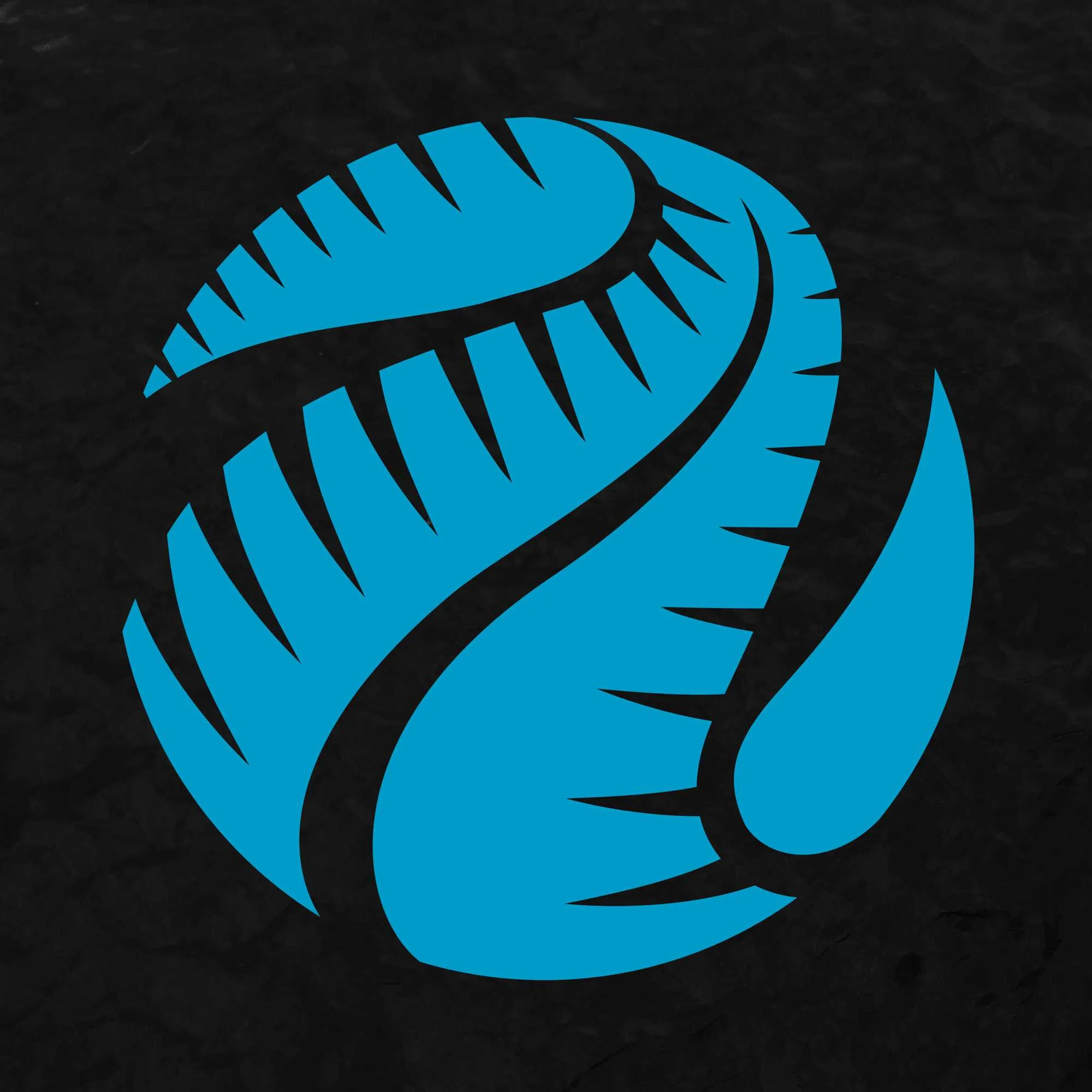 NZWP Board Nominations Open for Clubs and Centres