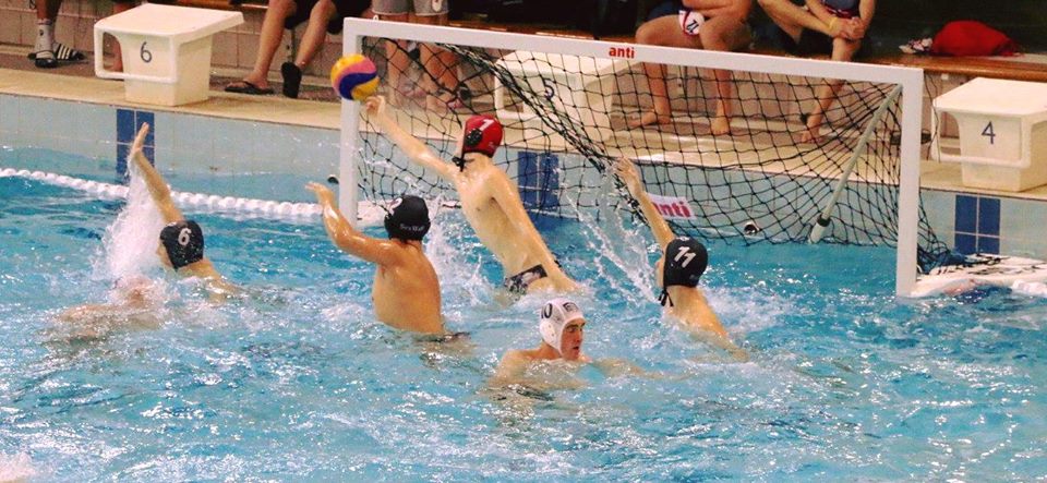 Sea-Wolf-Water-Polo.jpg
