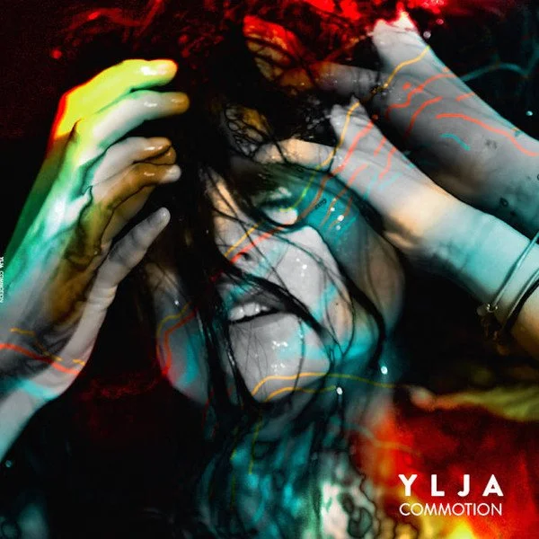 YLJA2014.jpg