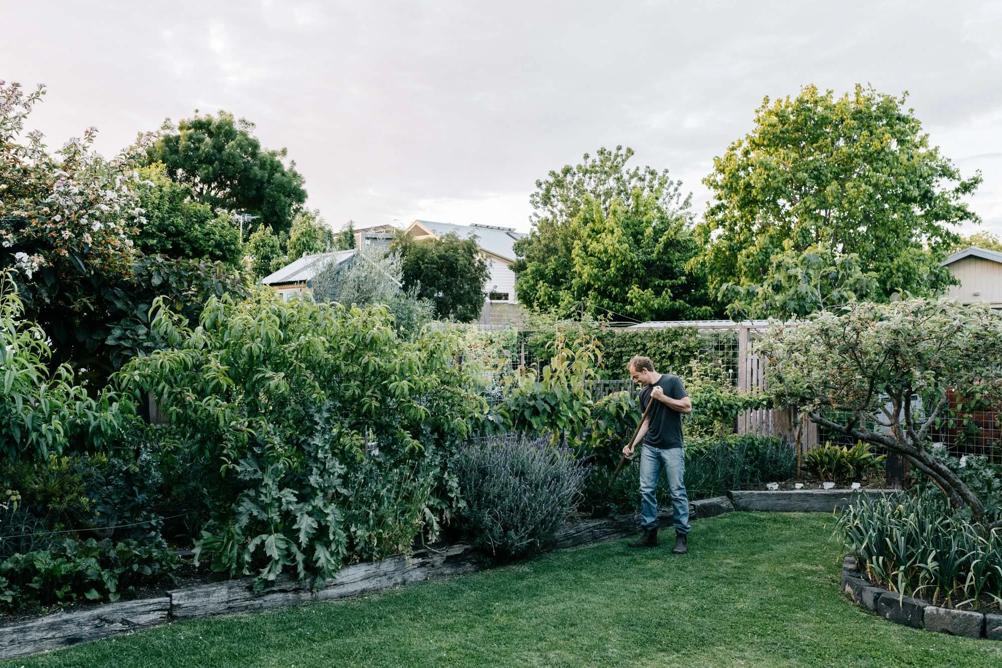 Ben Shaw Permaculture_October 2018_low res-4.jpg