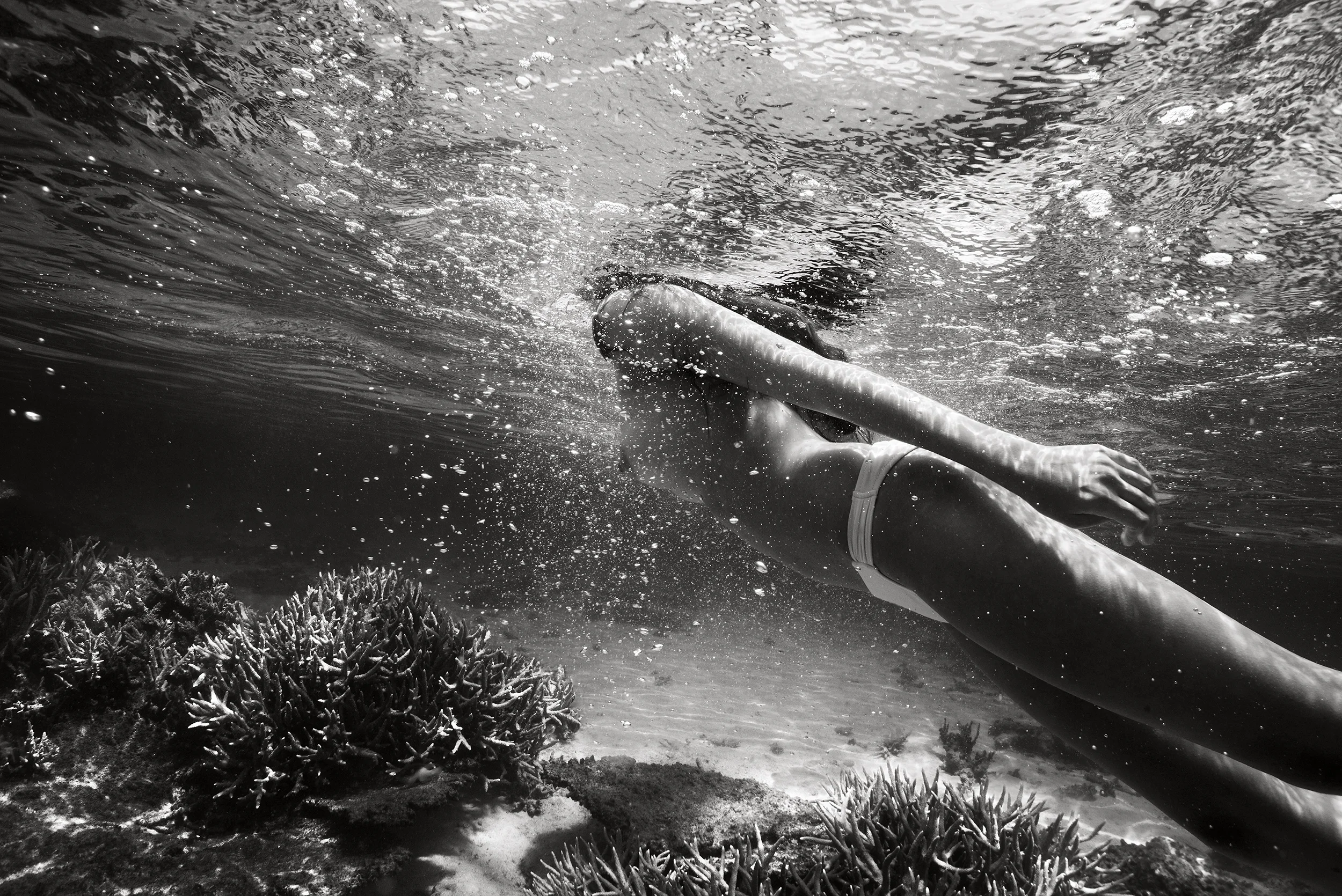 ‘Zara’ By Paul Giggle, Australia 2012