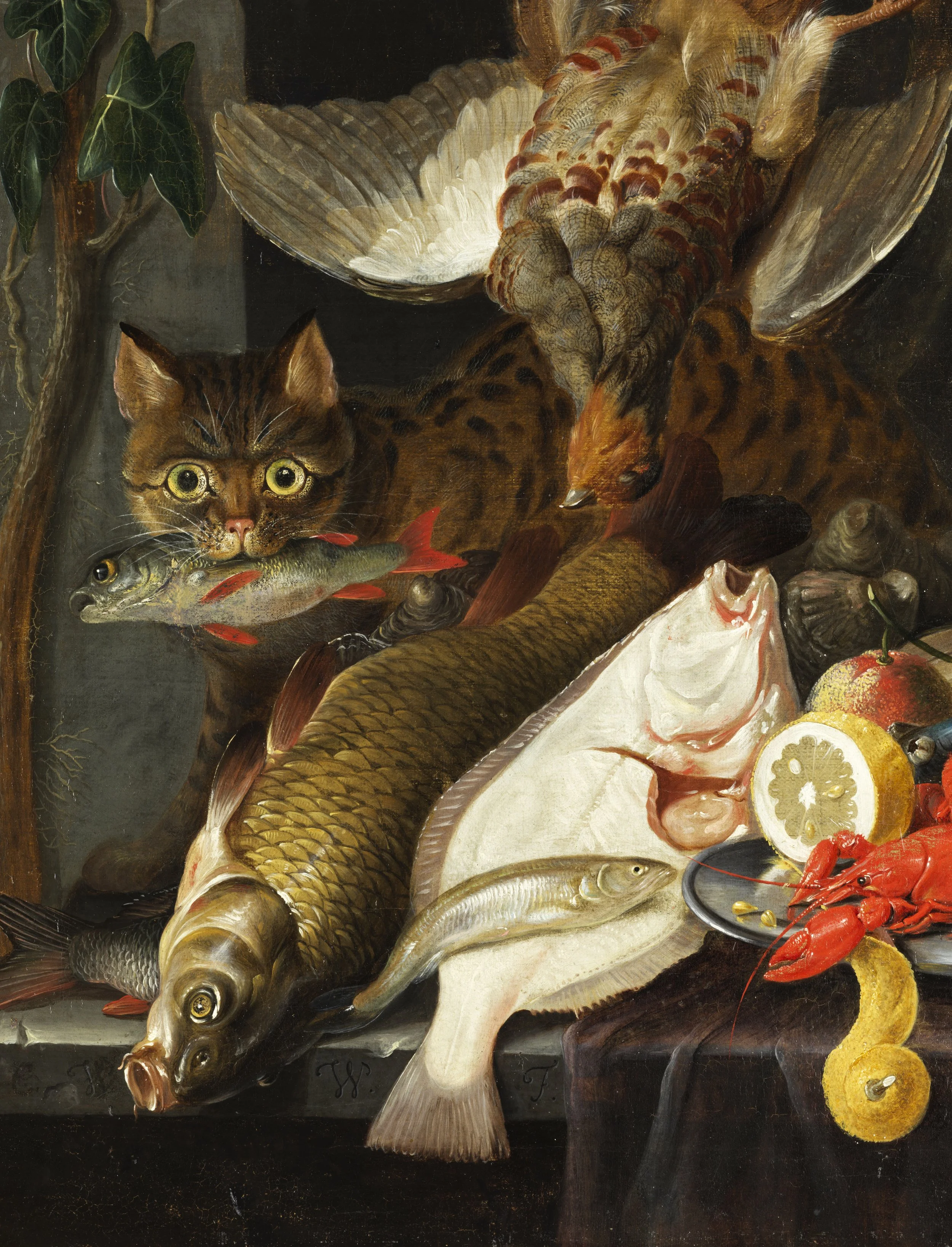 CatStilllife1.jpg