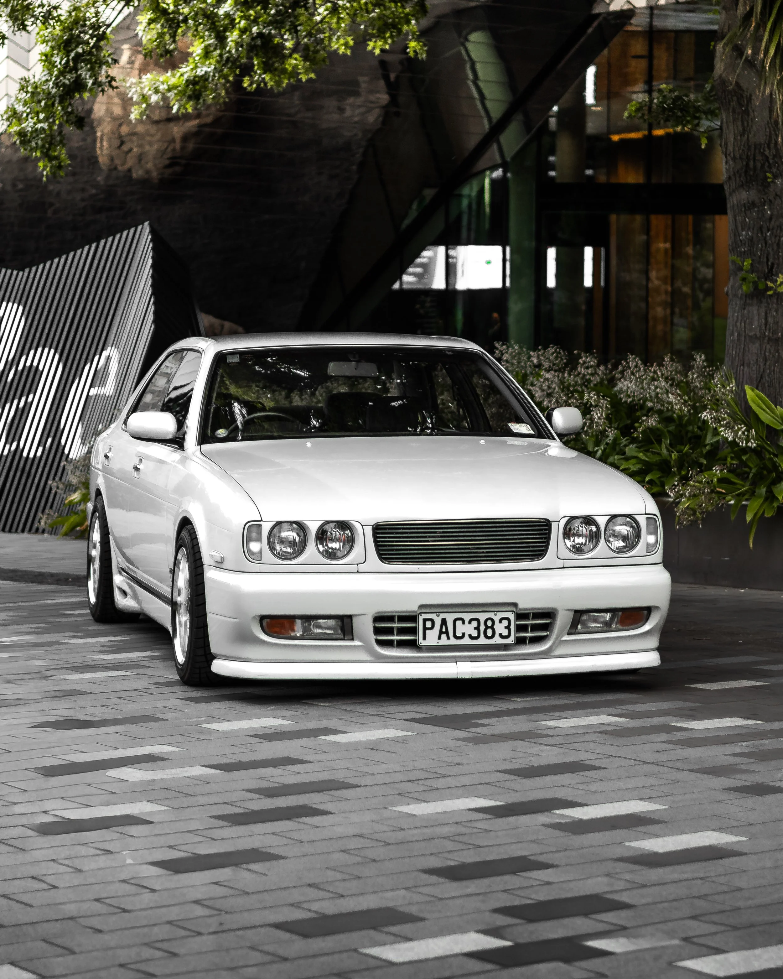 JCARS_0361.jpg