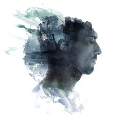 Sexberoende finns i hjärnan