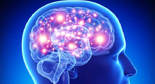 The-basics-of-relationship-dependency-and-the-brains-dopamine-reward-center-2.png