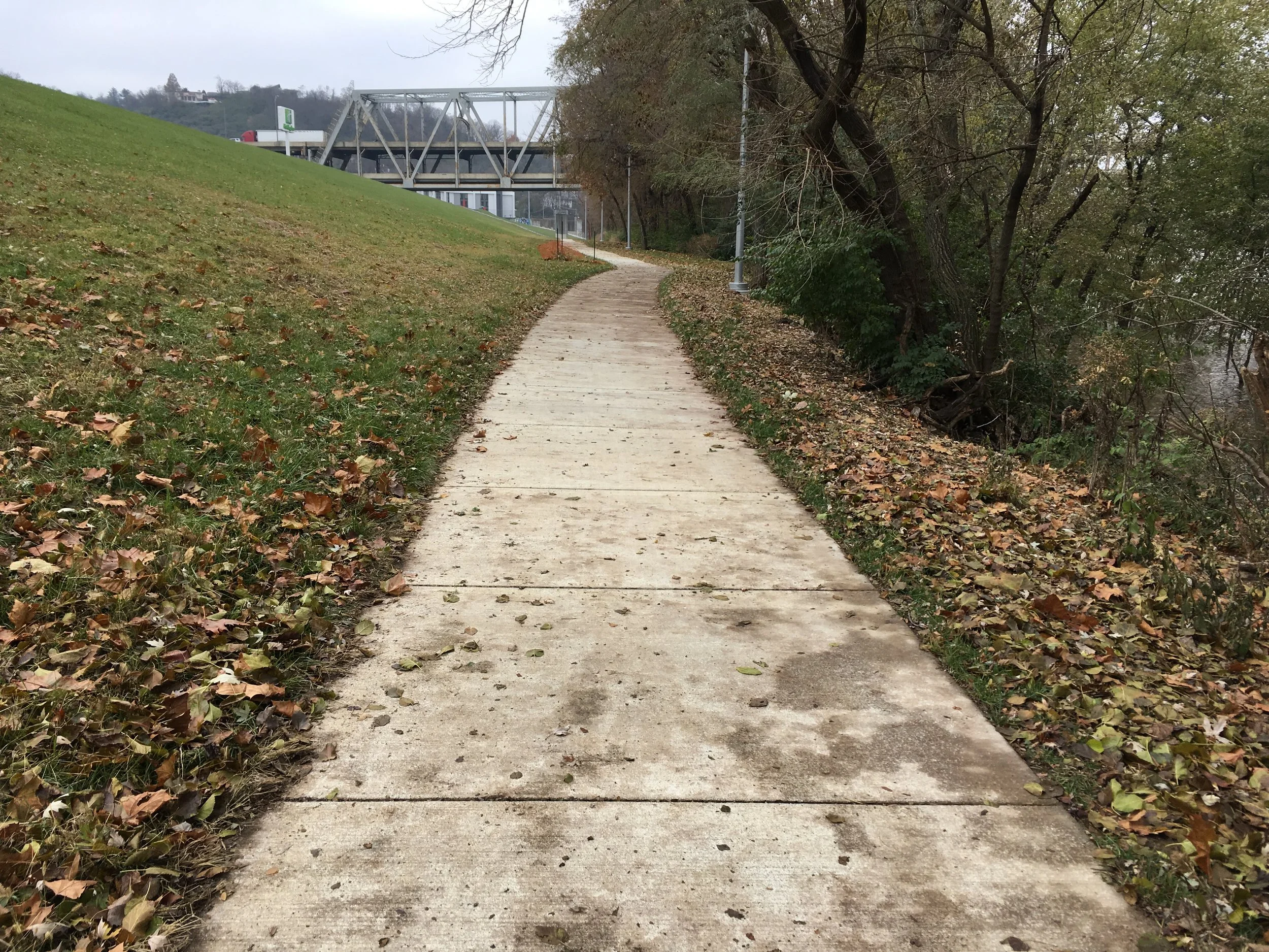 A Little Bike Advocacy Vocabulary