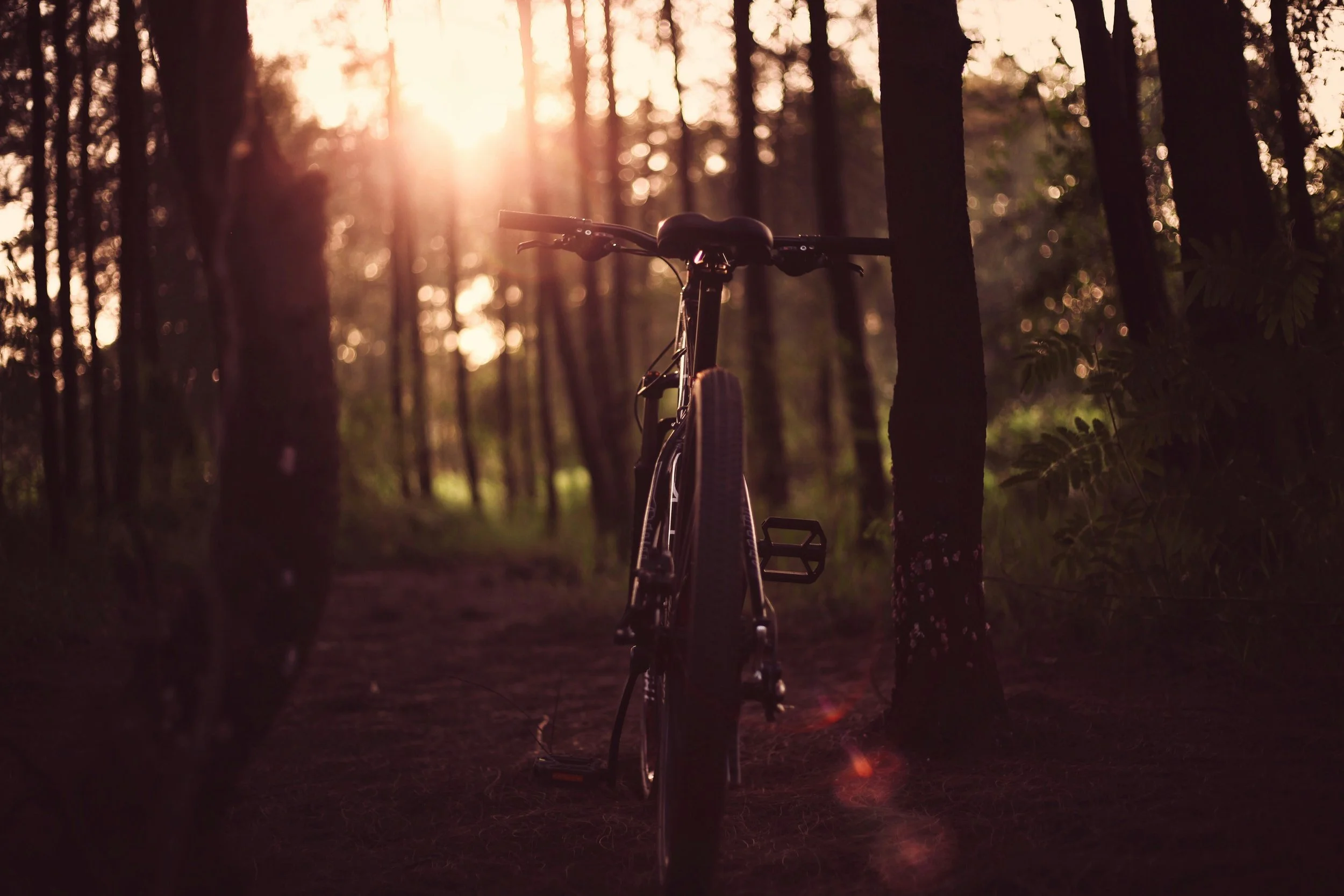 Discover Rides