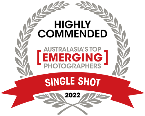 ATEP2022-SINGLE_HC.png