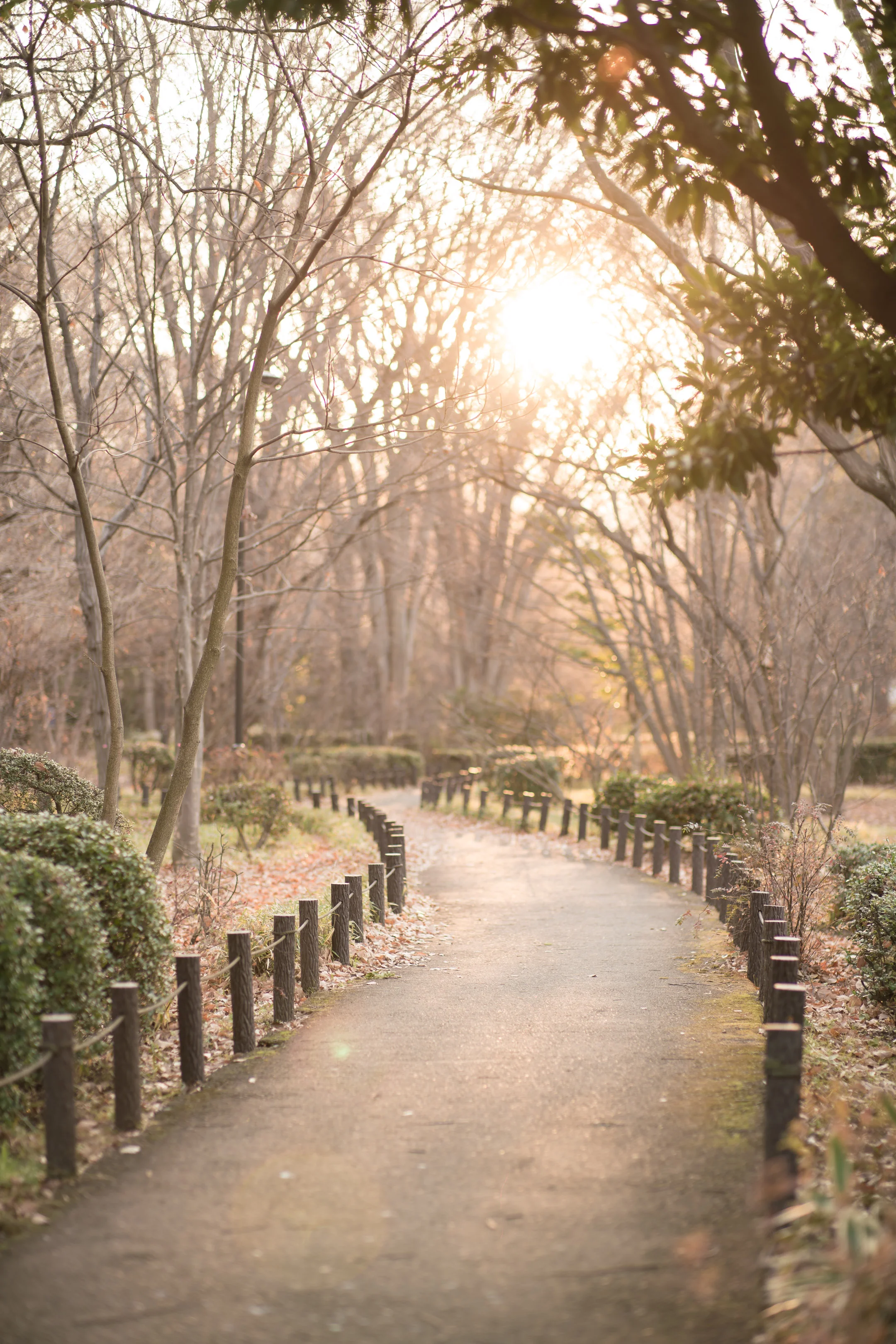 Japonsko 2019 (101 of 217).jpg