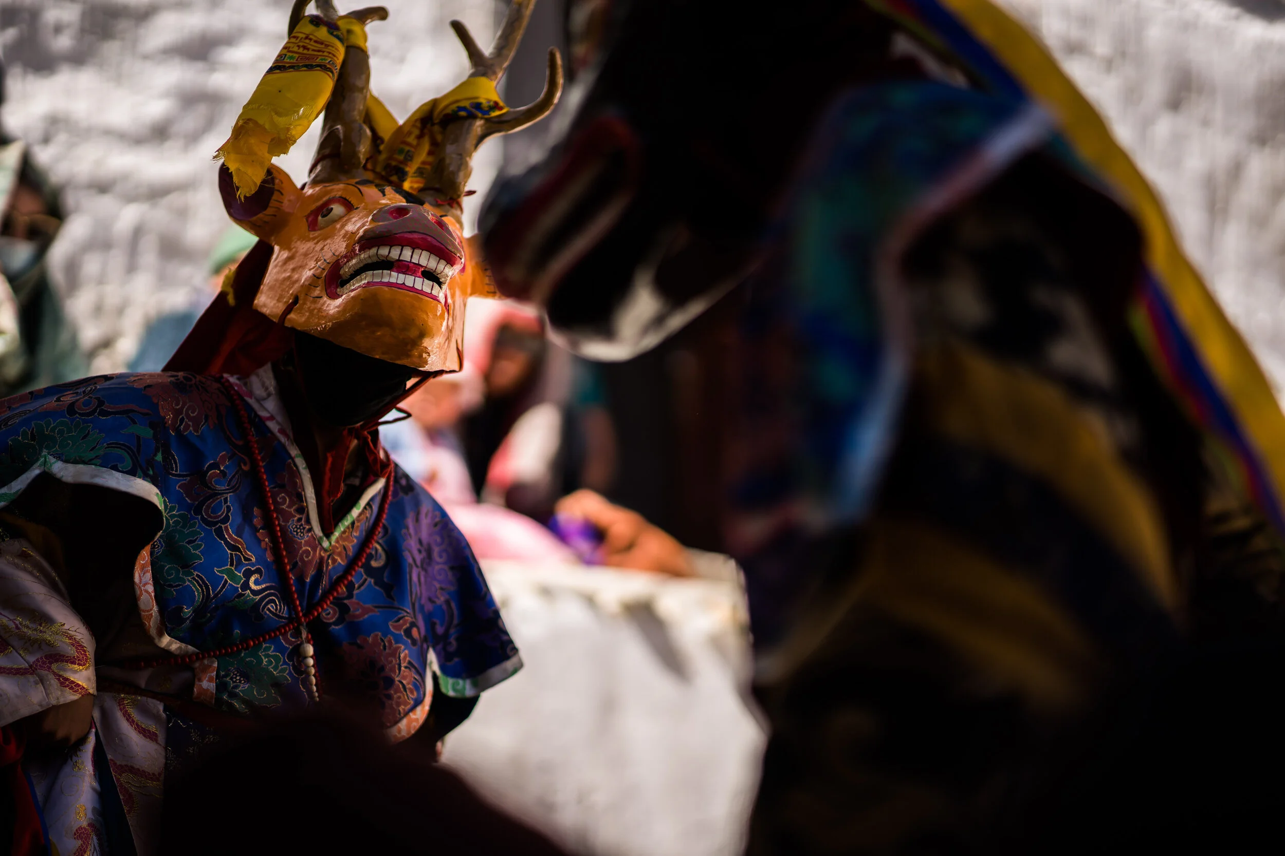 ladakh-318.jpg