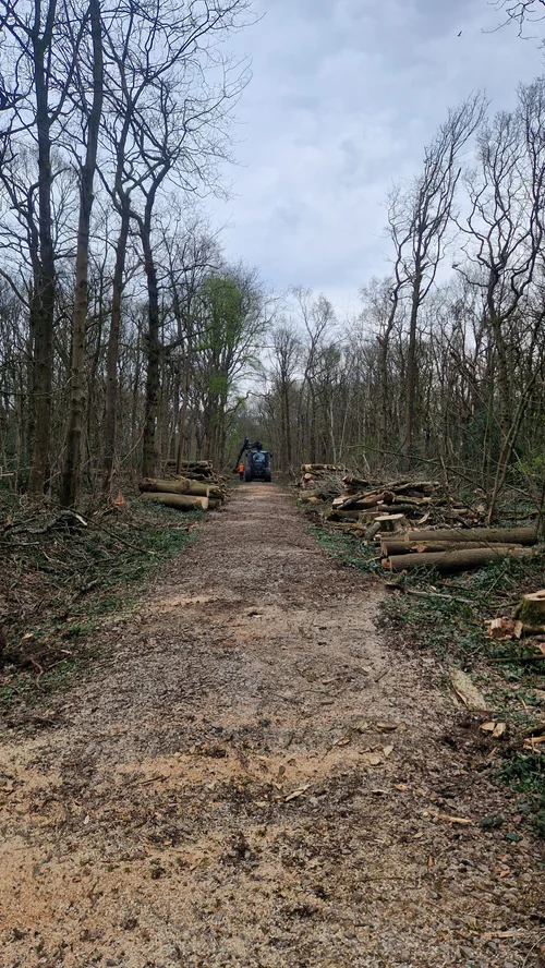 RTS Countryside Woodland Management