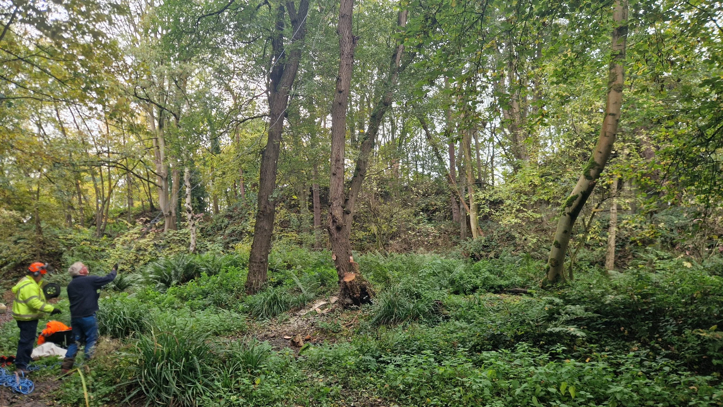 20251023_131105.jpg