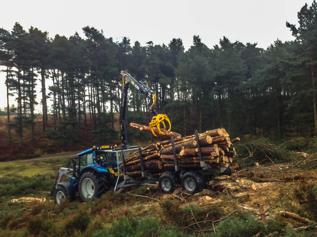 Forestry & Woodland Management