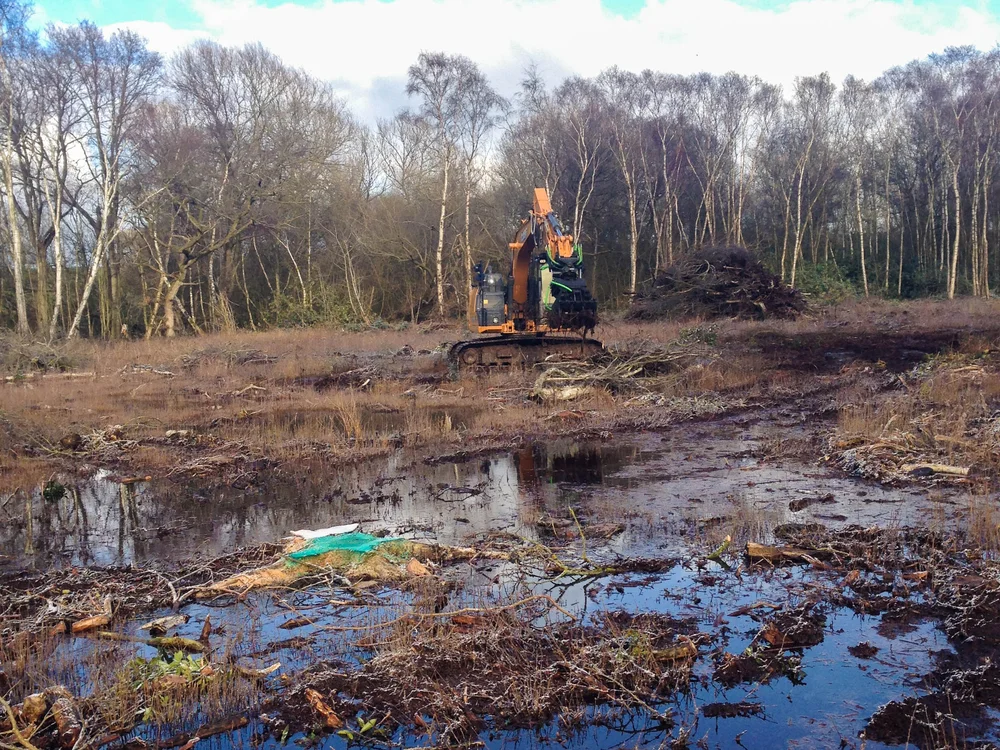 Peatland Restoration