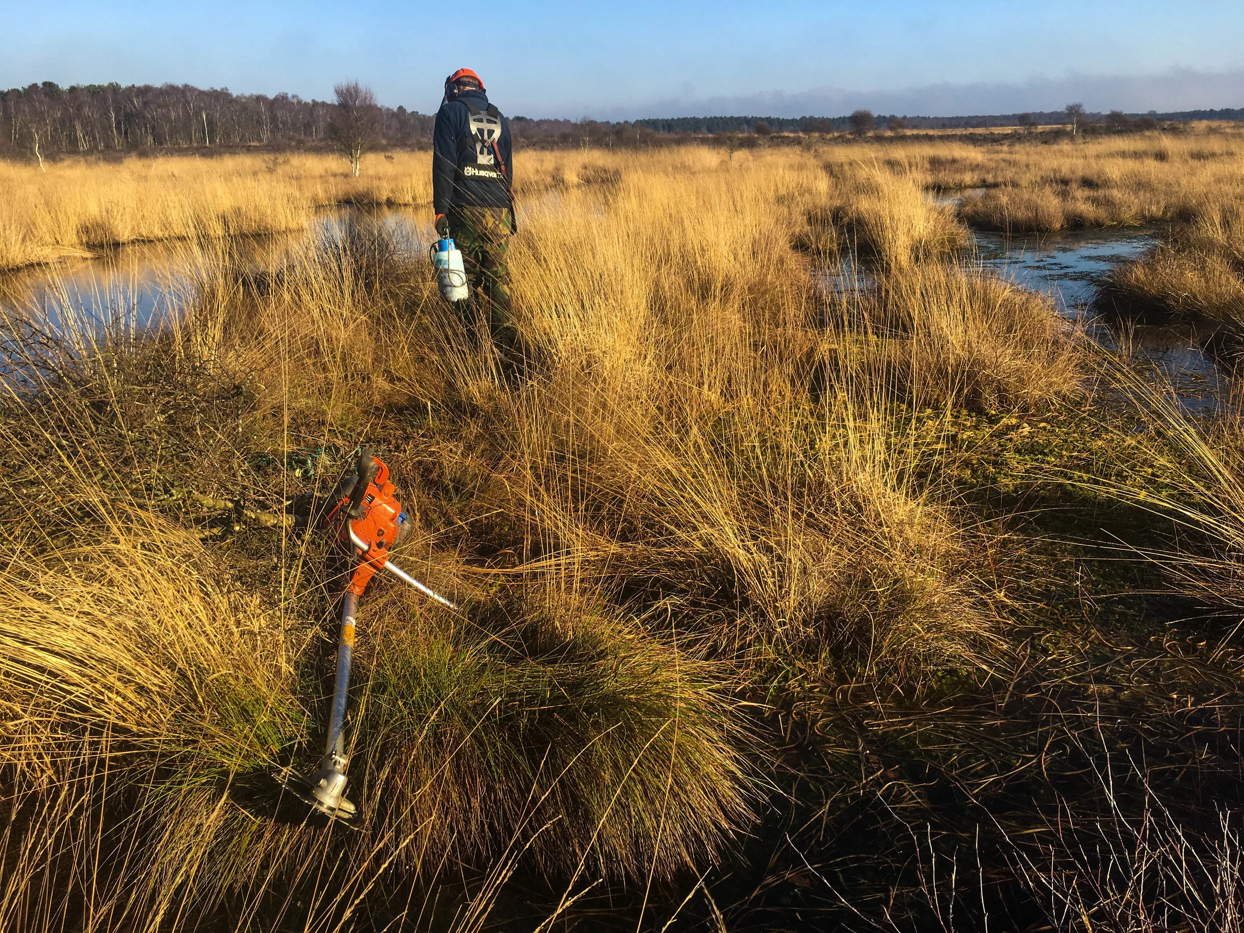 Peatland Restoration