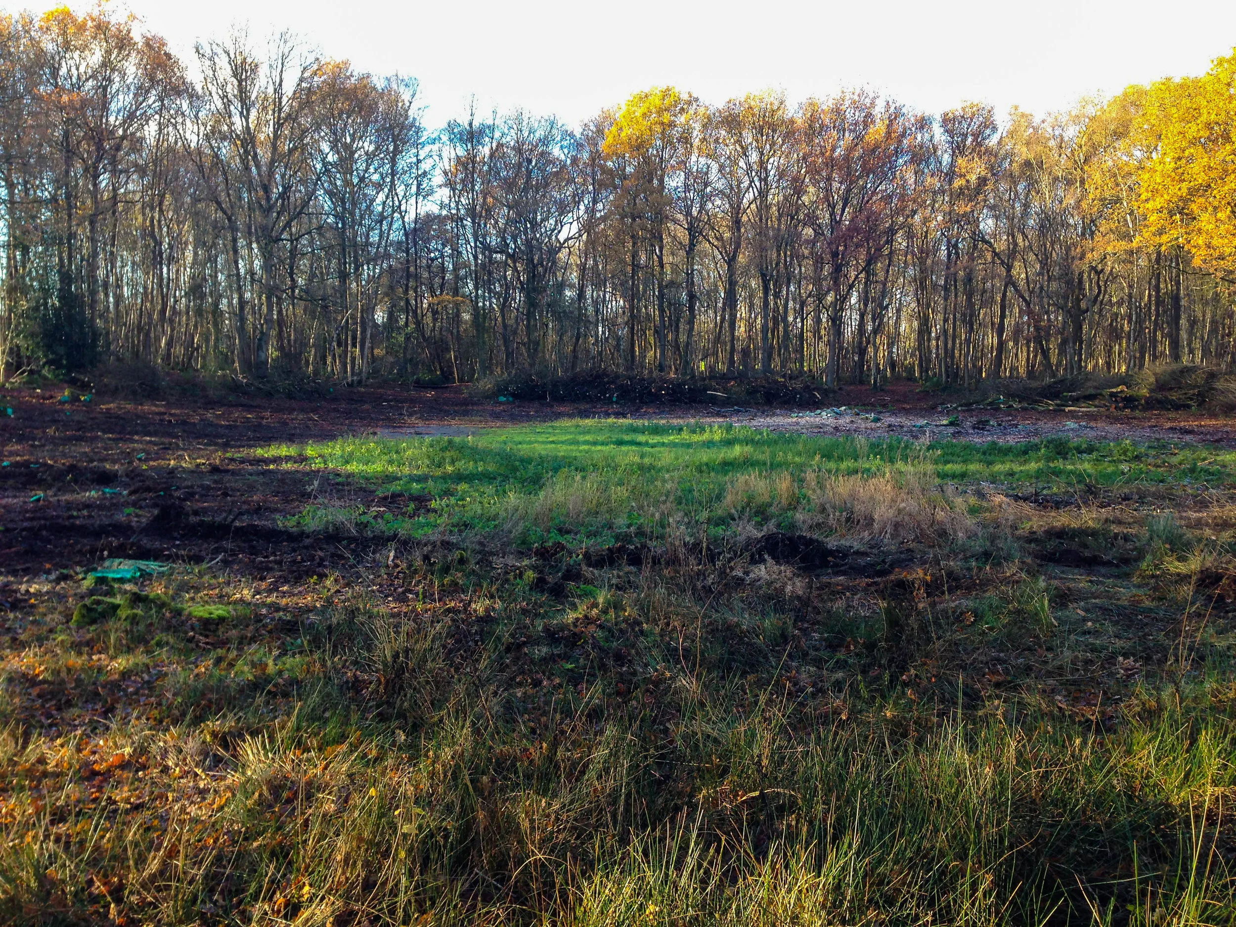 Conservation Management