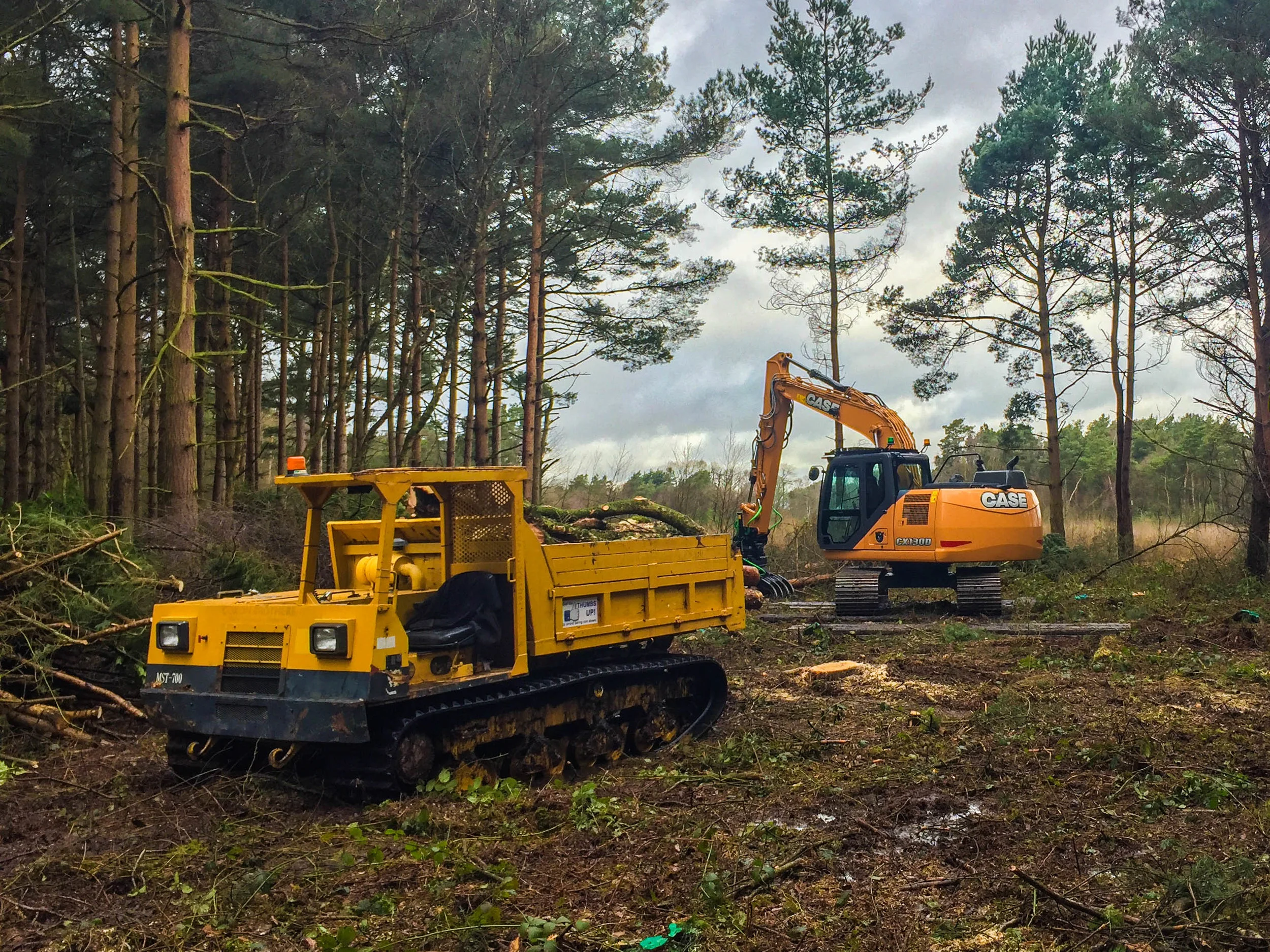 Site Clearance