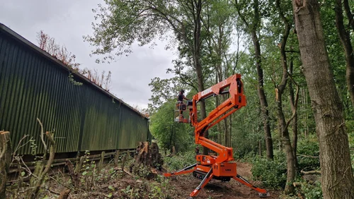 RTS Countryside tree surgery