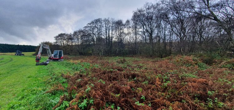 RTS Countryside Wetland Creation