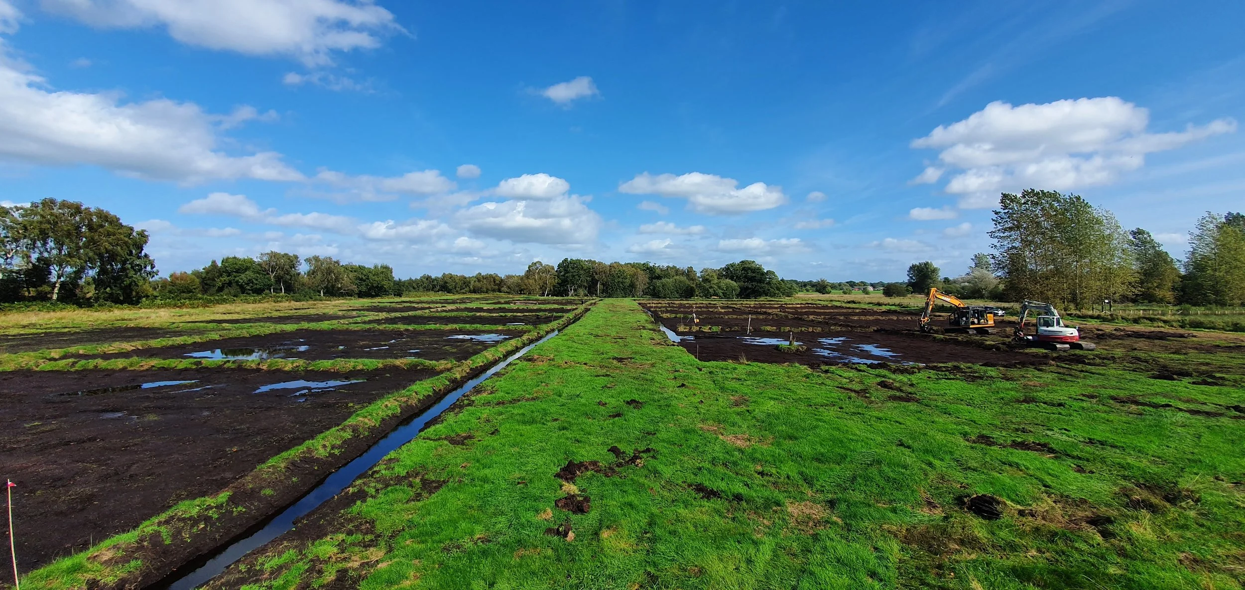 Peatland Restoration