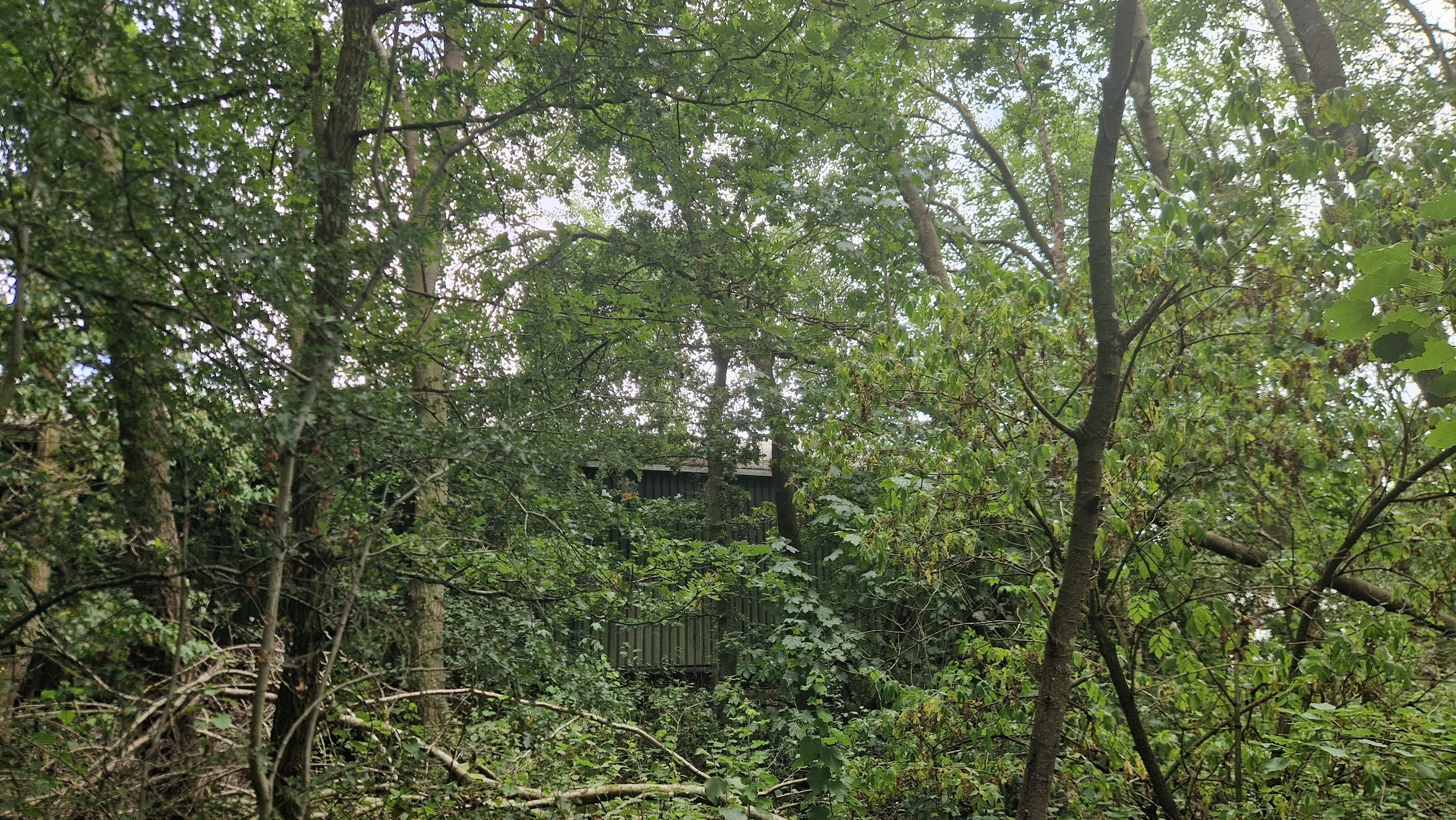 20260729_140331.jpg