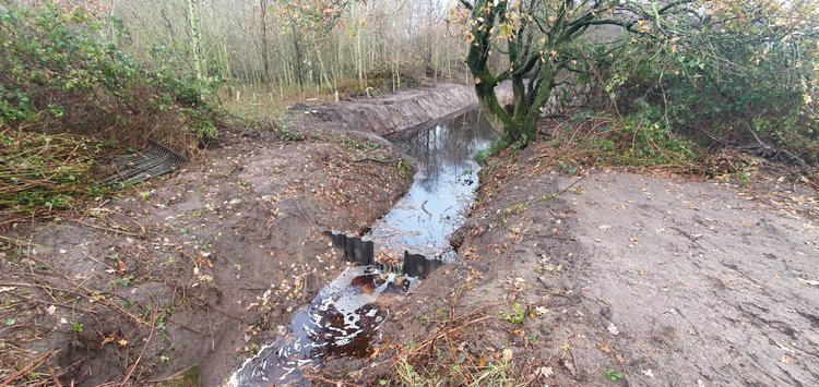 RTS Countryside Wetland Creation