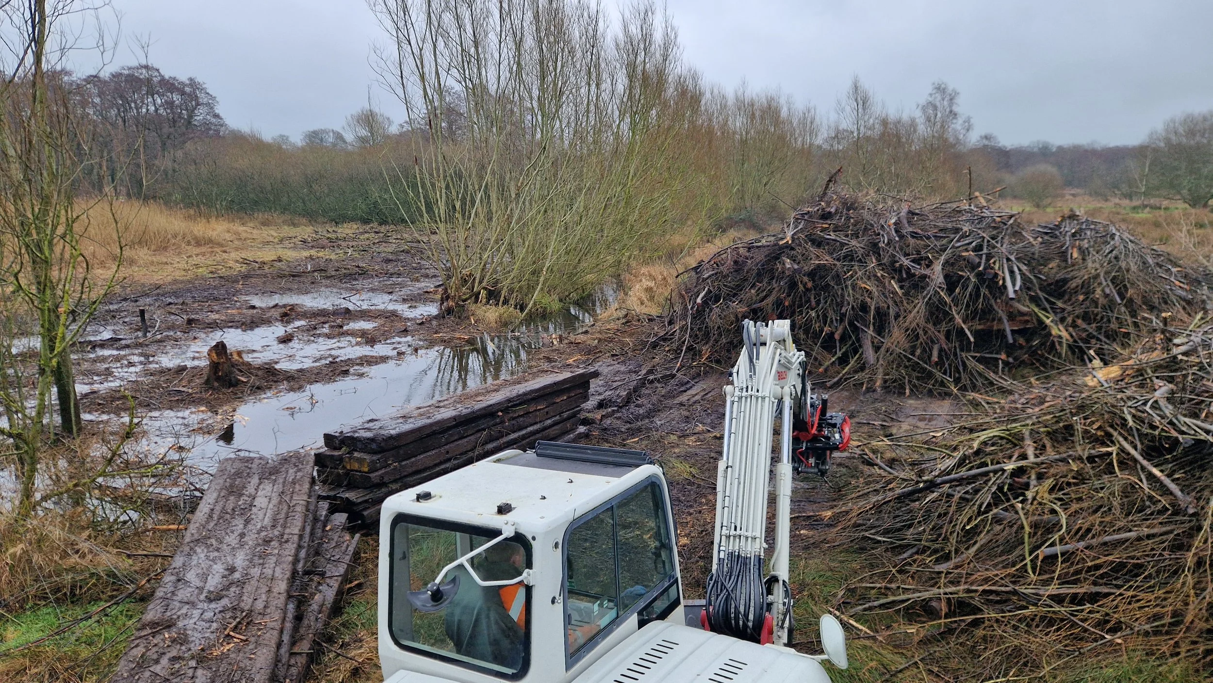 RTS countryside Large scale wetland scrub removal