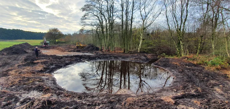 RTS Countryside Wetland Creation