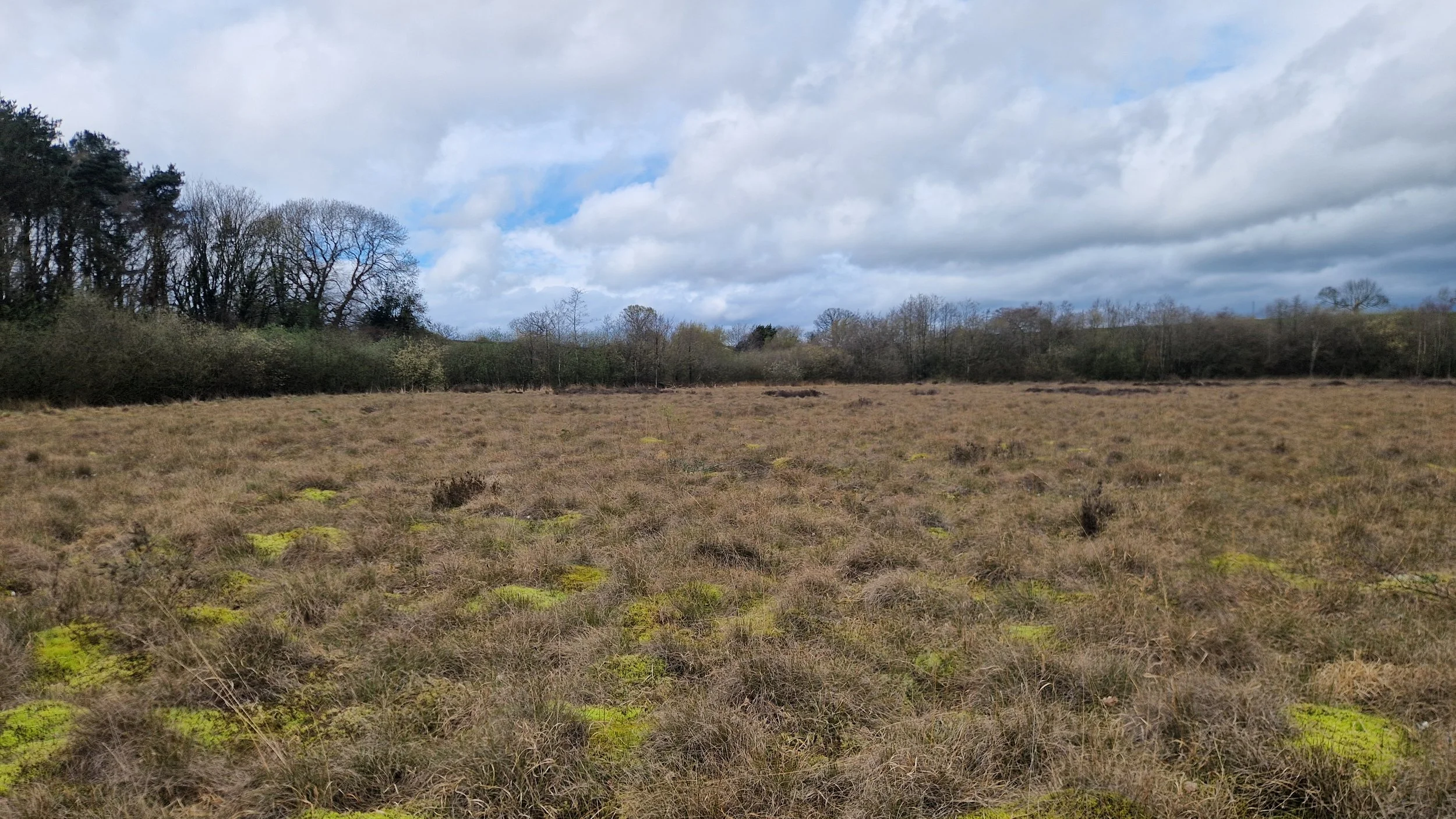 RTS Countryside Peatland Restoration