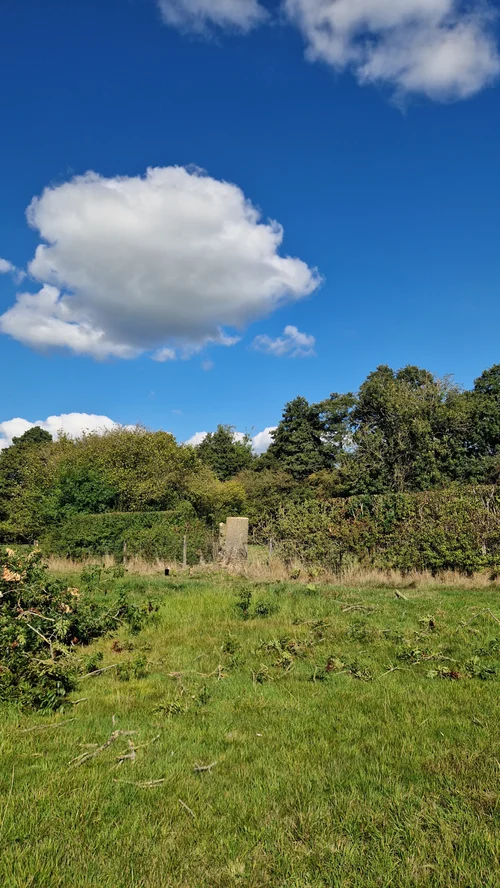 rts countryside management
