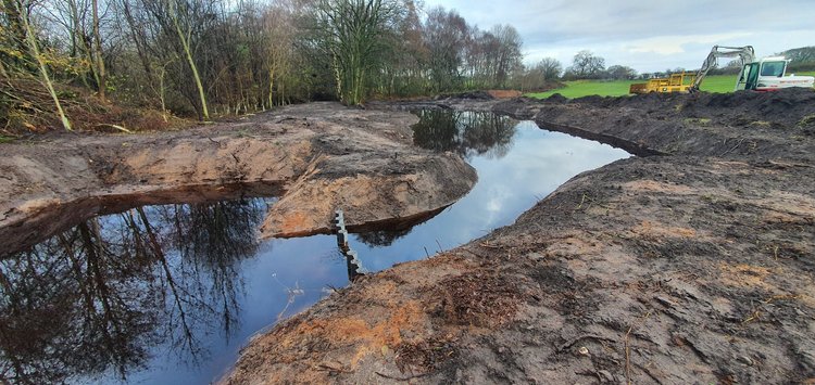 RTS Countryside Wetland Creation