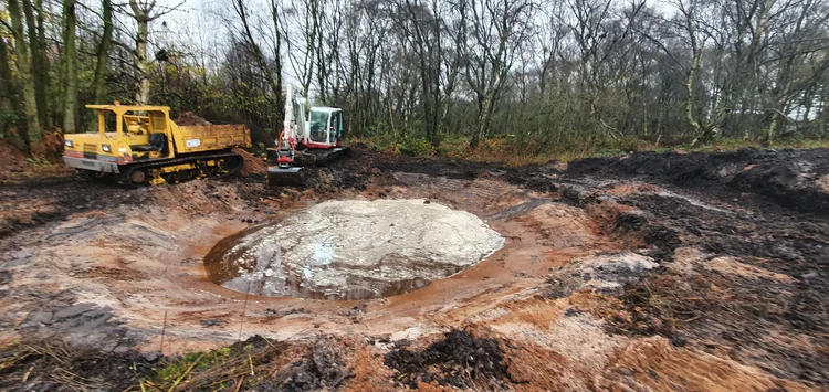 RTS Countryside Wetland Creation