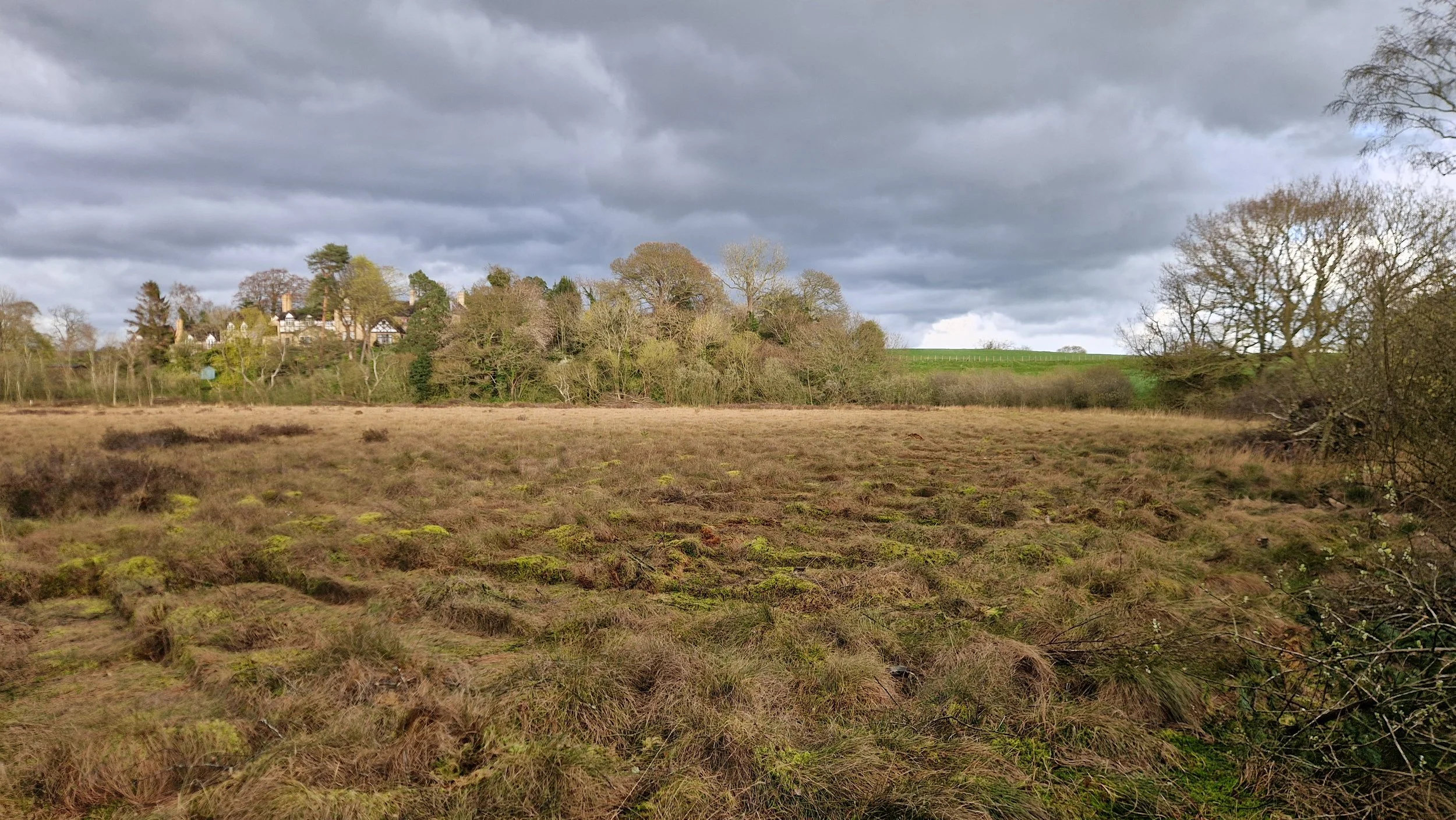 RTS Countryside Peatland Restoration
