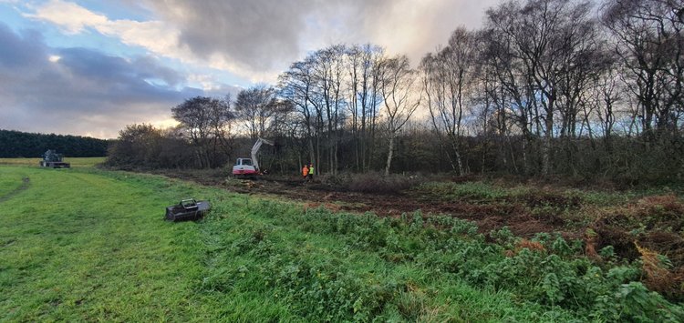 RTS Countryside Wetland Creation