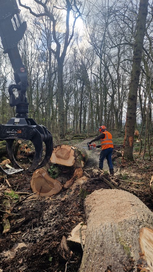 RTS Countryside Woodland Management