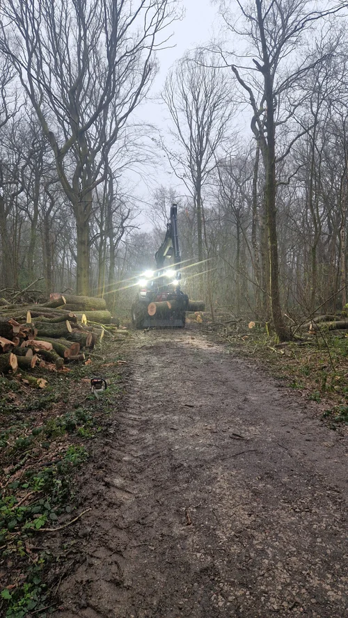 RTS Countryside Woodland Management
