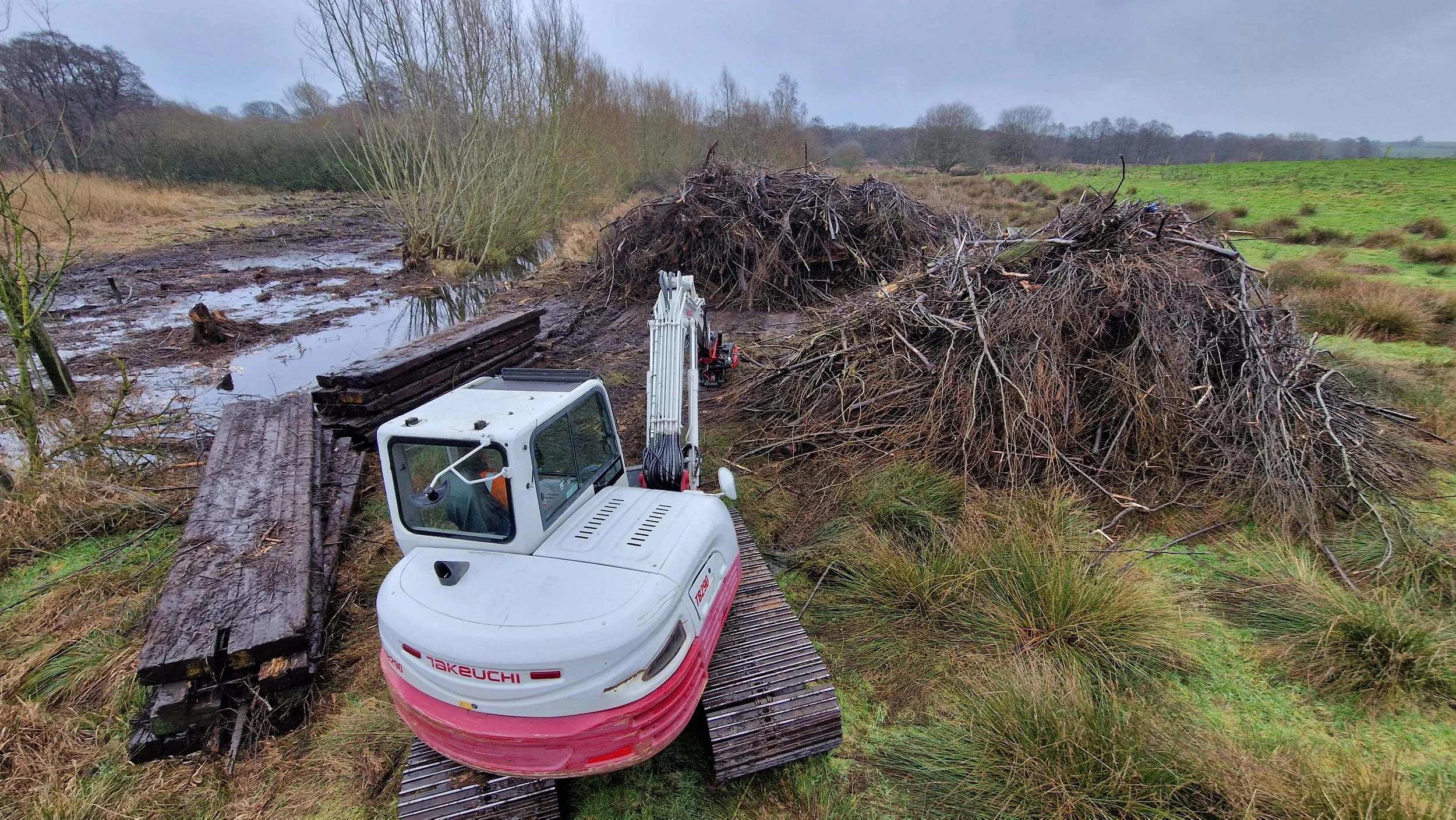 RTS countryside Large scale wetland scrub removal