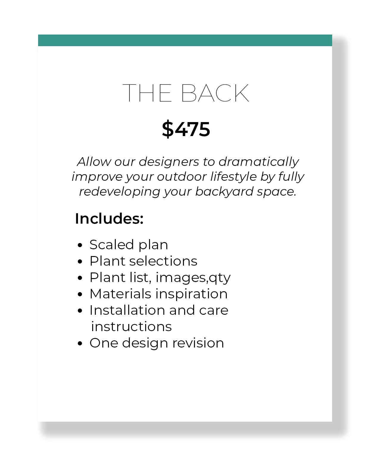 THE BACK_2.jpg