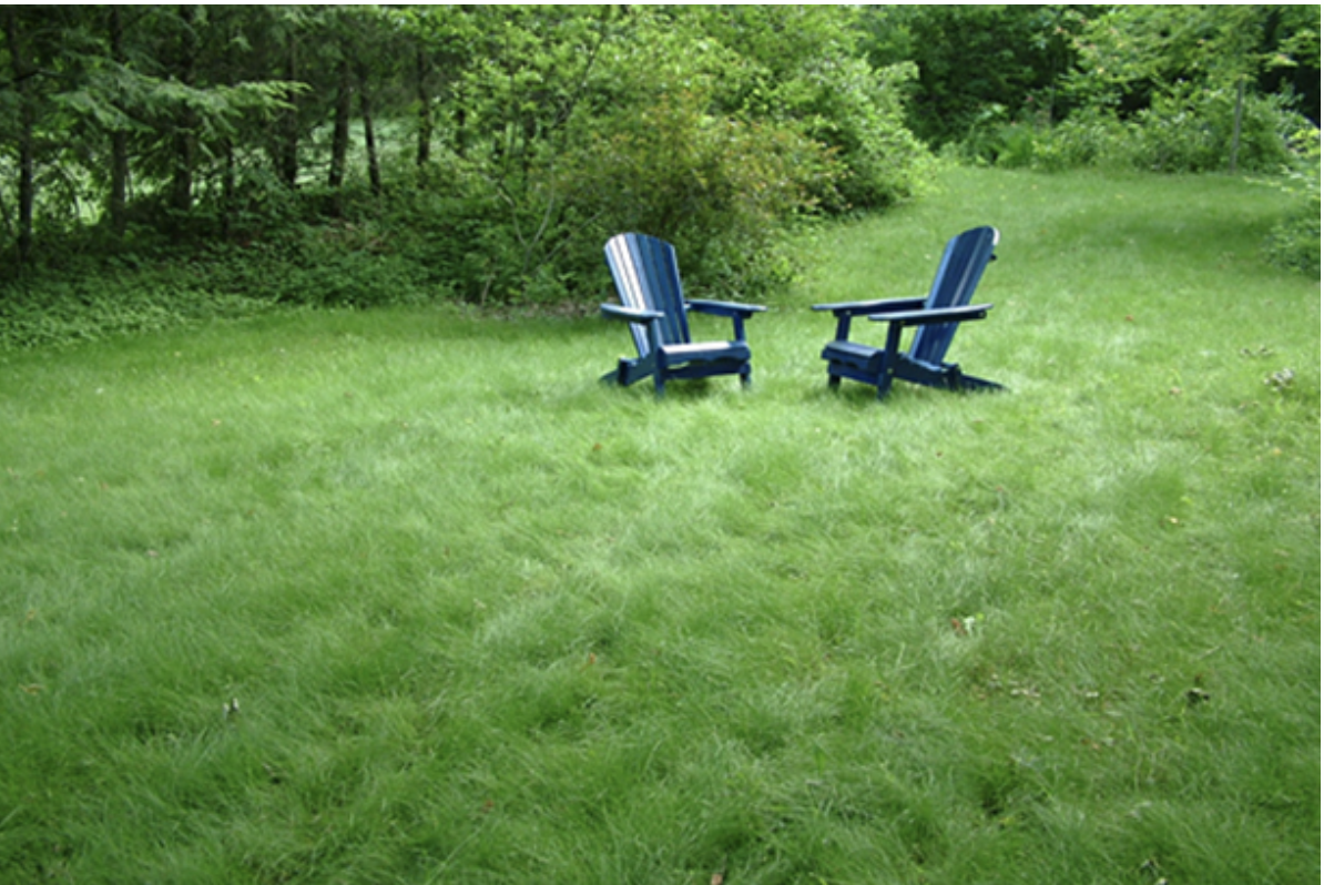 Fescue Lawn