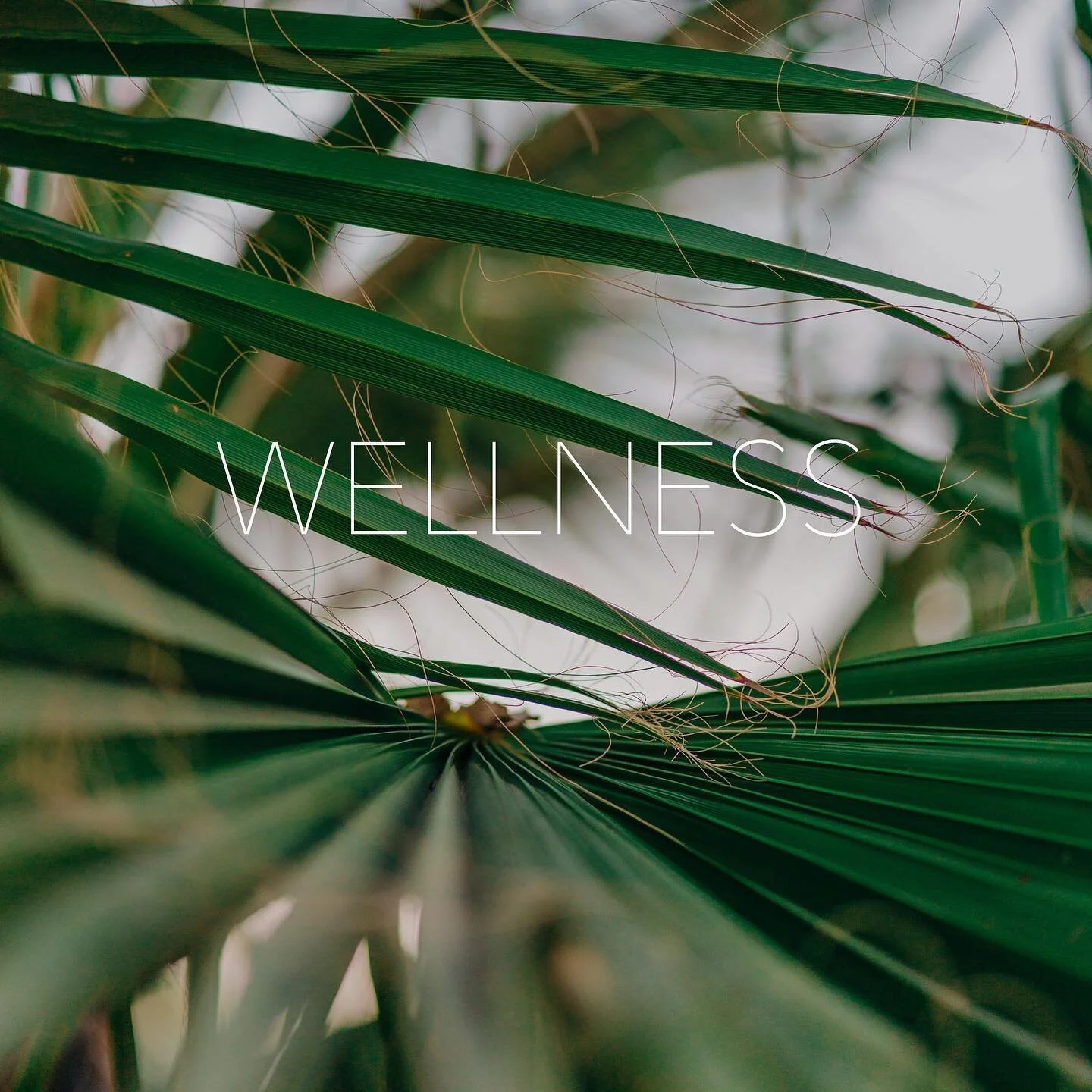Last year my word was honest, and keeping that word in mind helped me a ton. I might share more about my experience later :) This year I wasn’t going to pick a word but the word “wellness” has continued to pop up so I think I will m