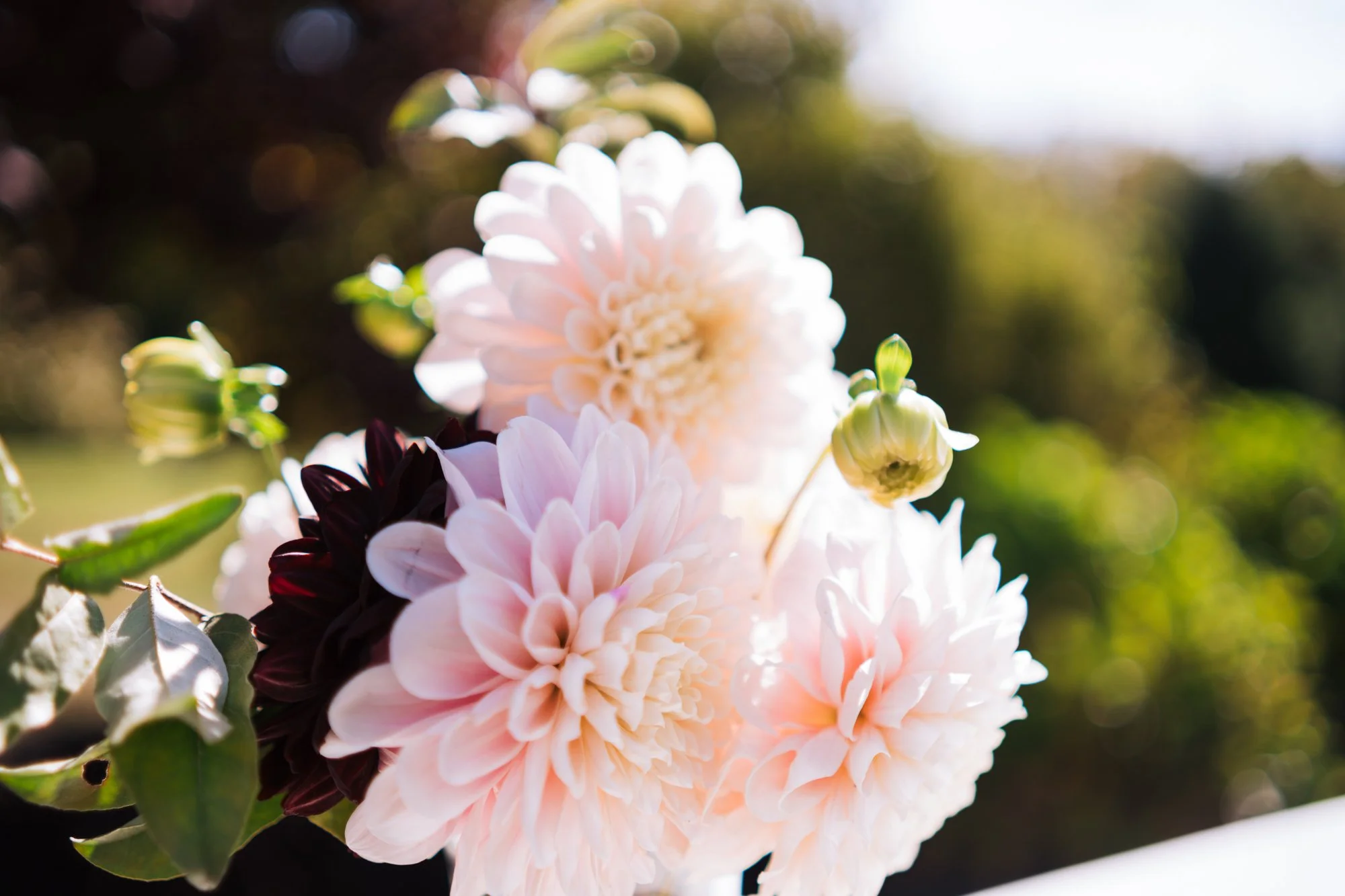 Mike+Kate_Wedding_KylieBStudios_GettingReady-13.jpg