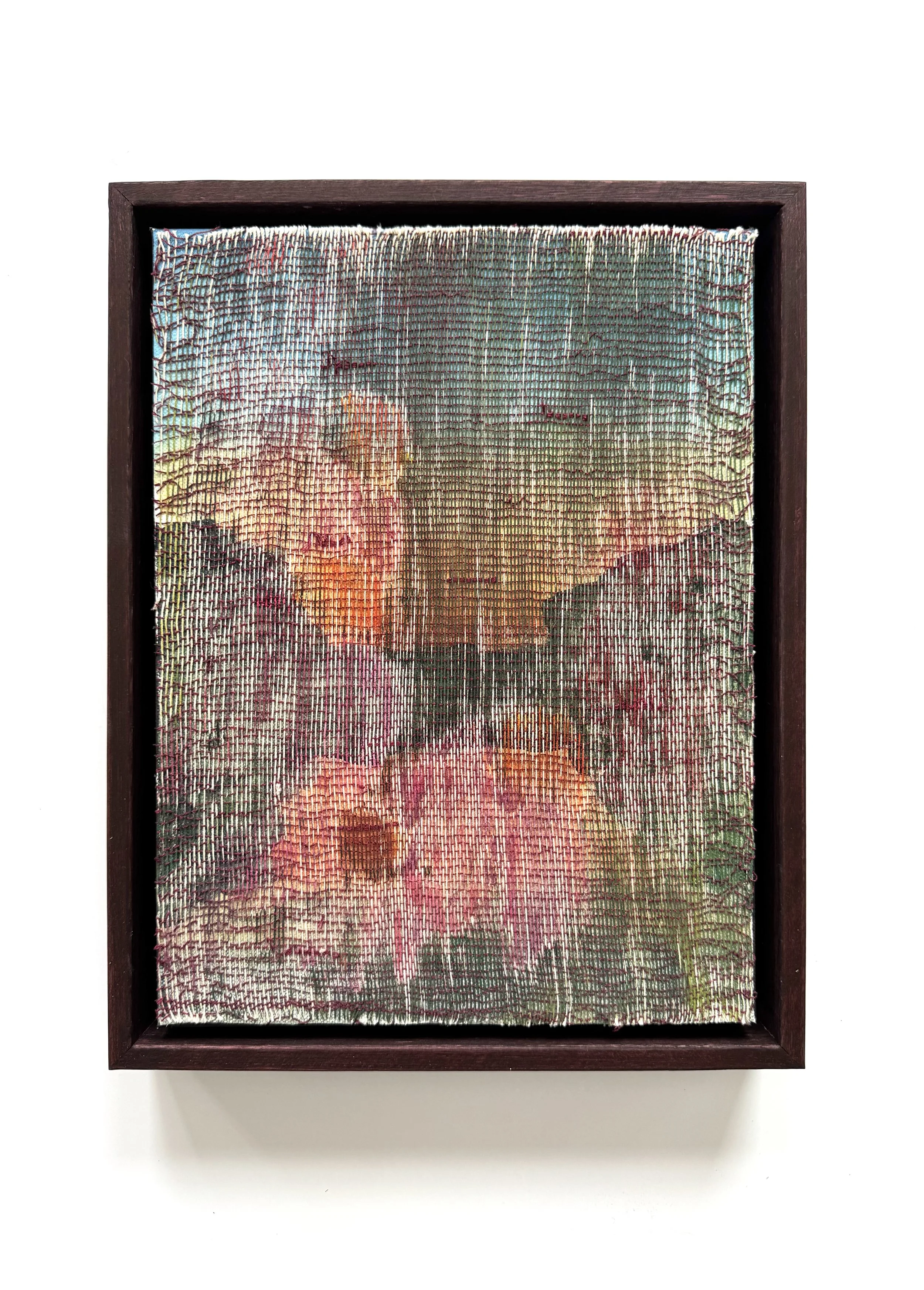 Echinacea with Landscape