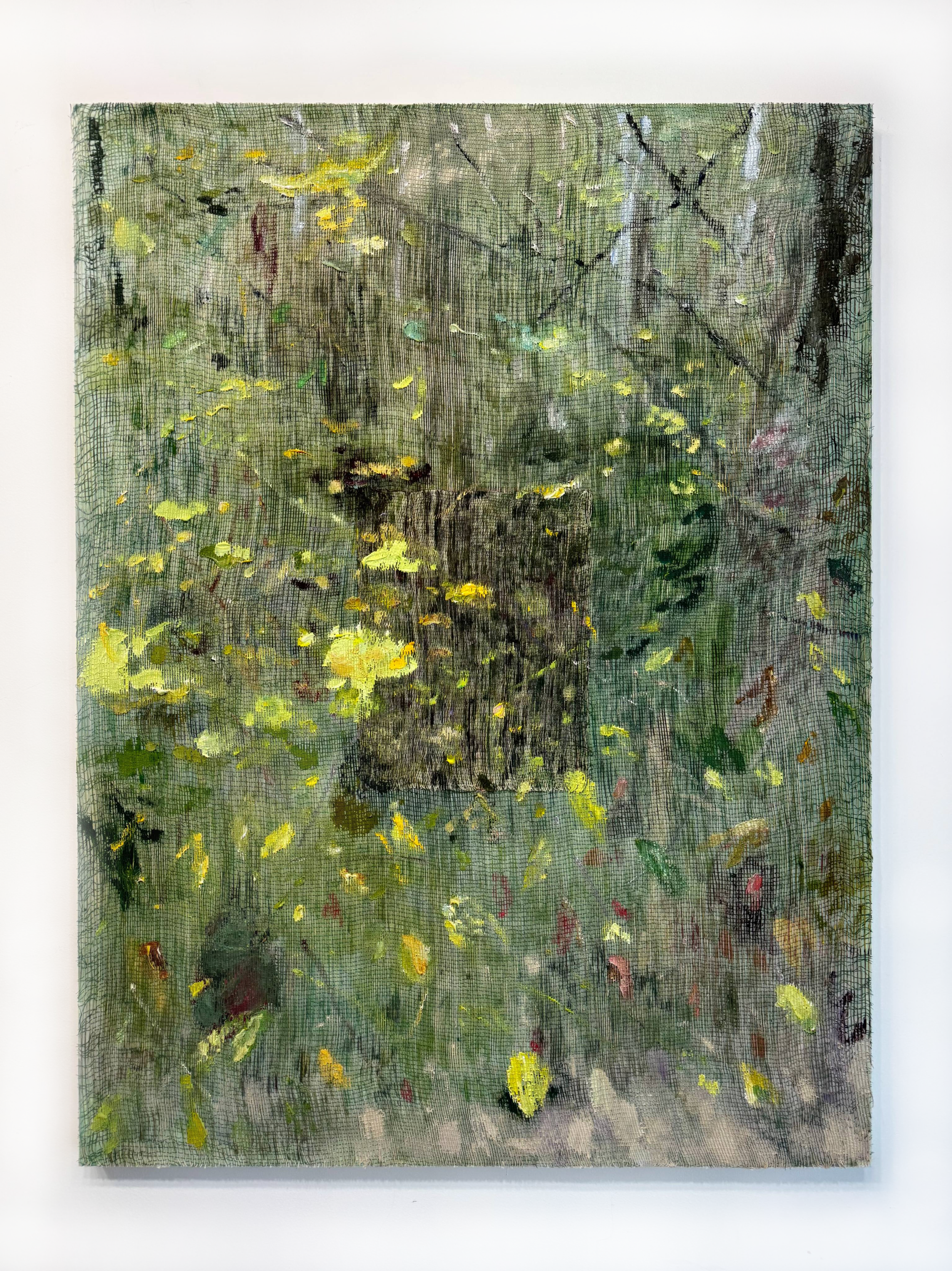 The Deep Trees