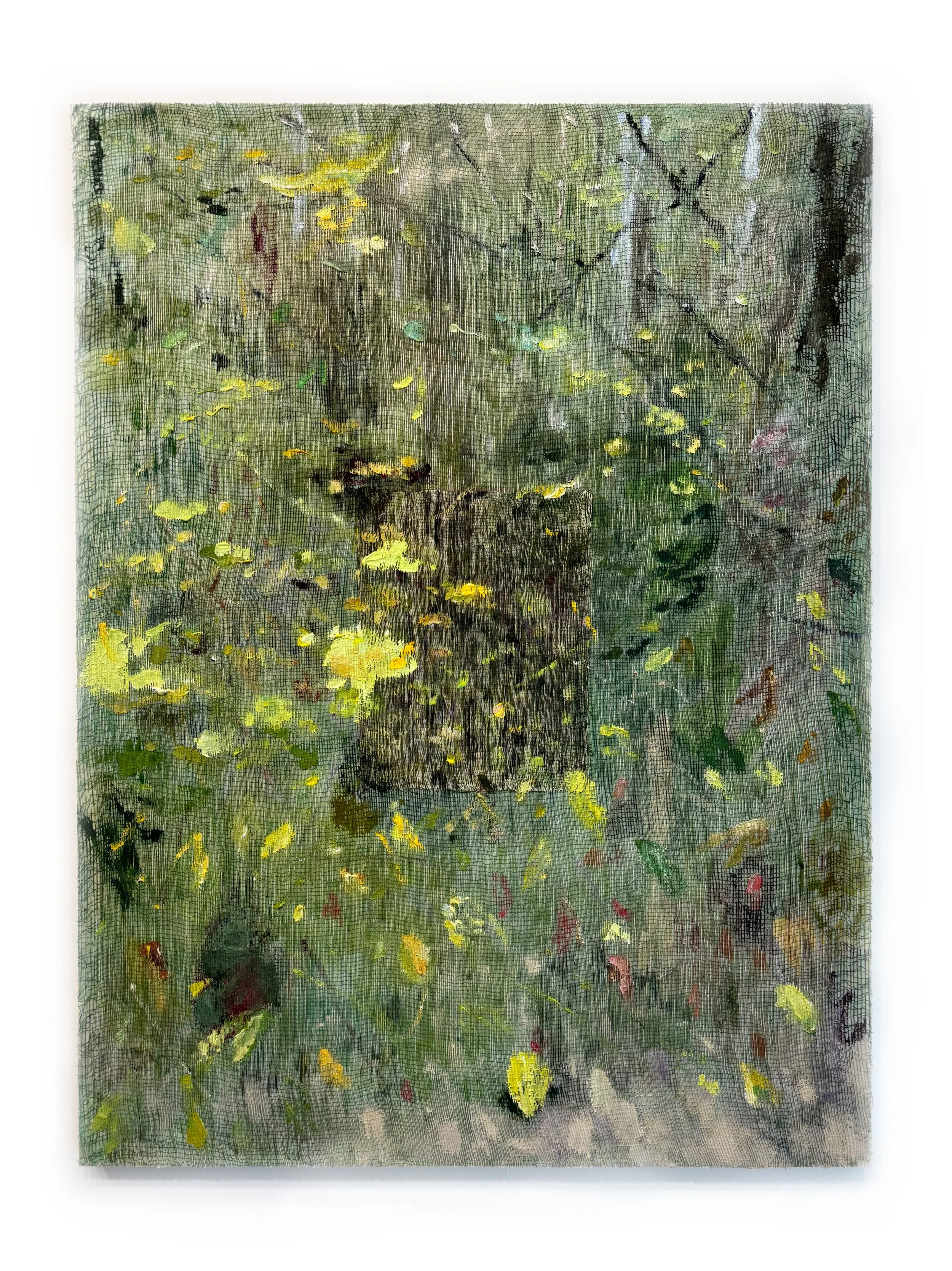 The Deep Trees
