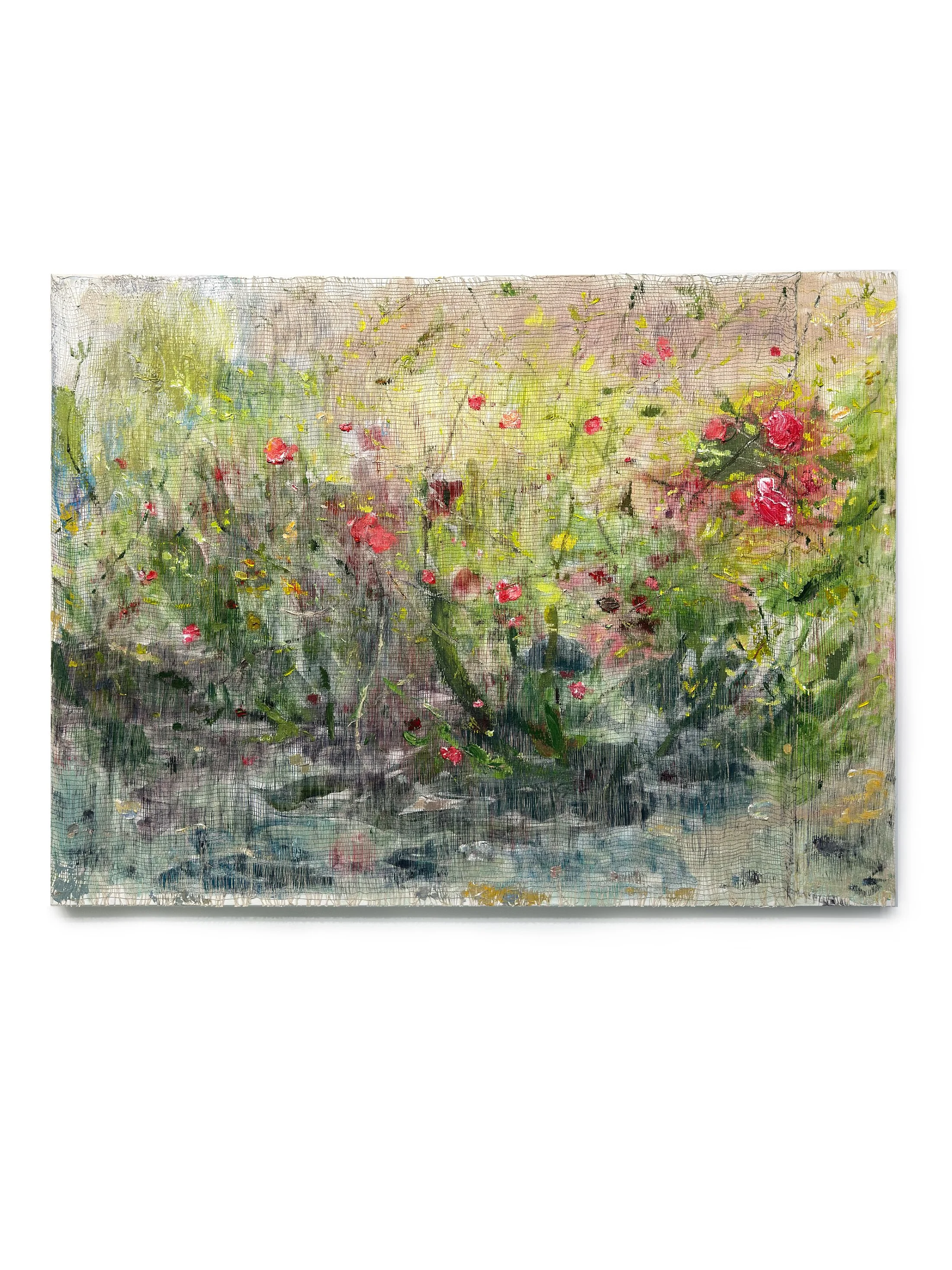 Flowering Quince