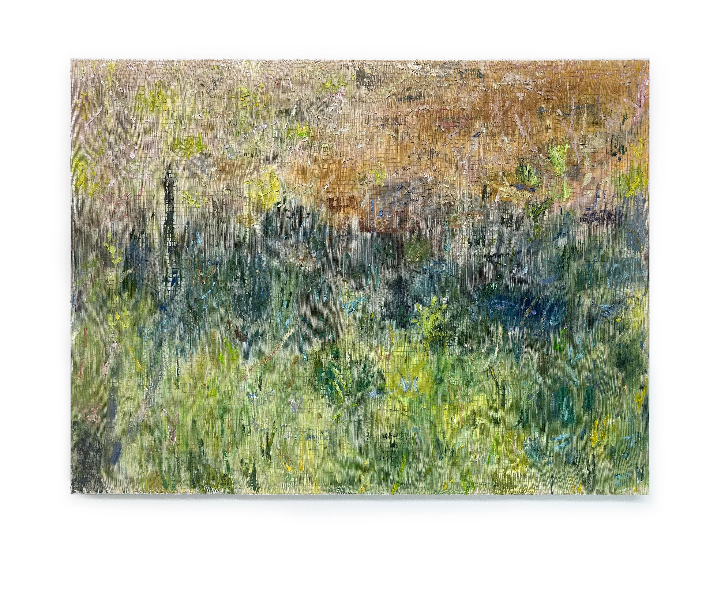 Summer Marshlands