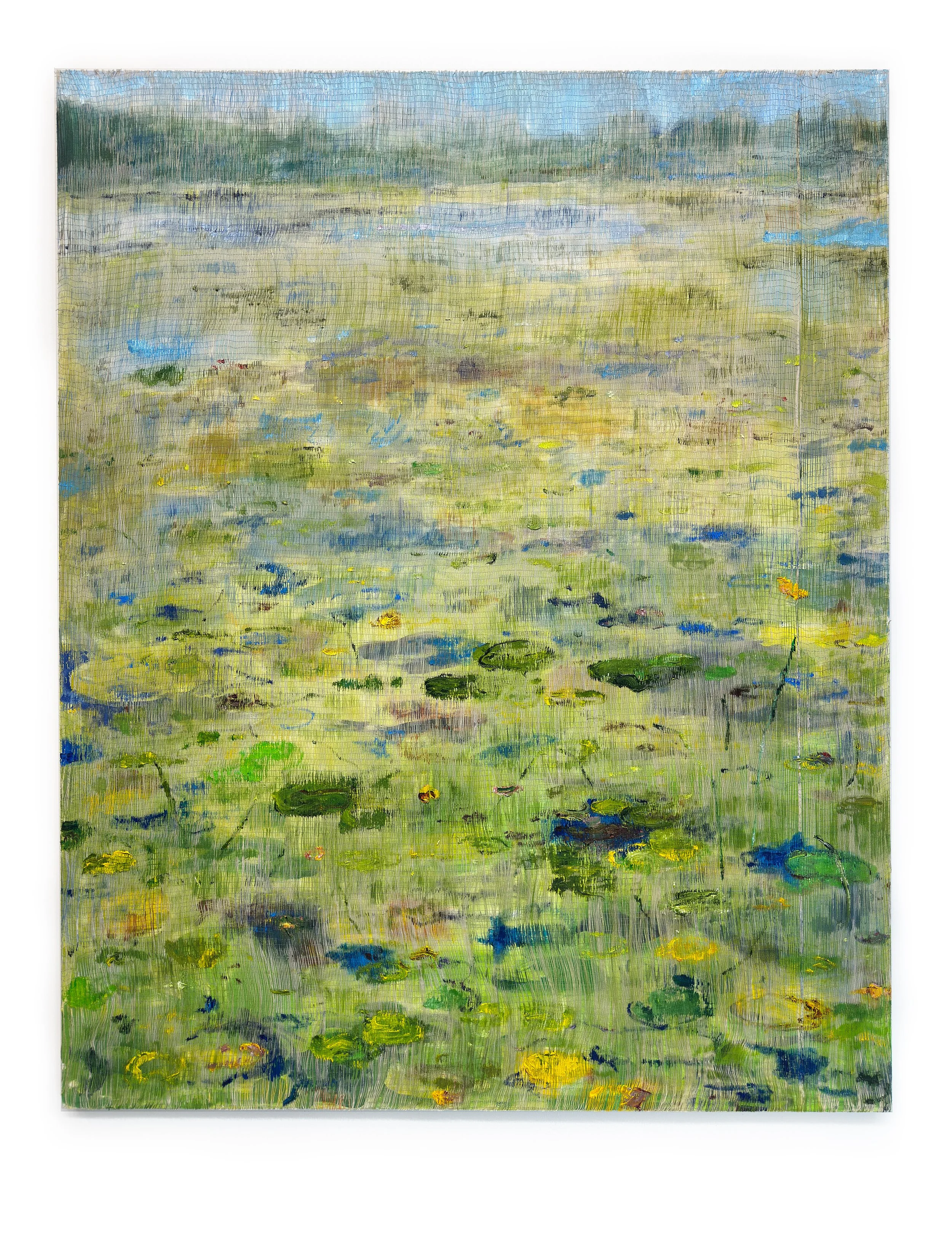 Summer Pond