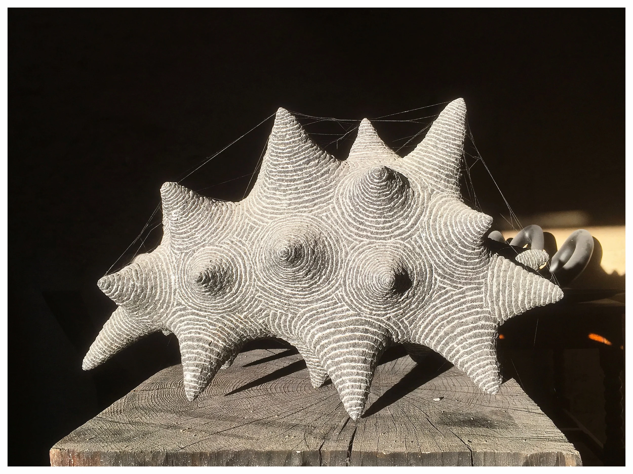 Concentric Beast.JPG