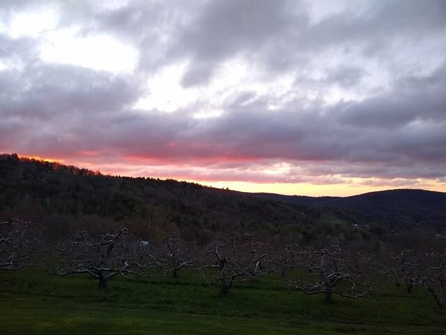 A beautiful sunrise earlier this week. 
#farmviews #familyfarm #orchard #sunrise #newengland #westernmassachusetts